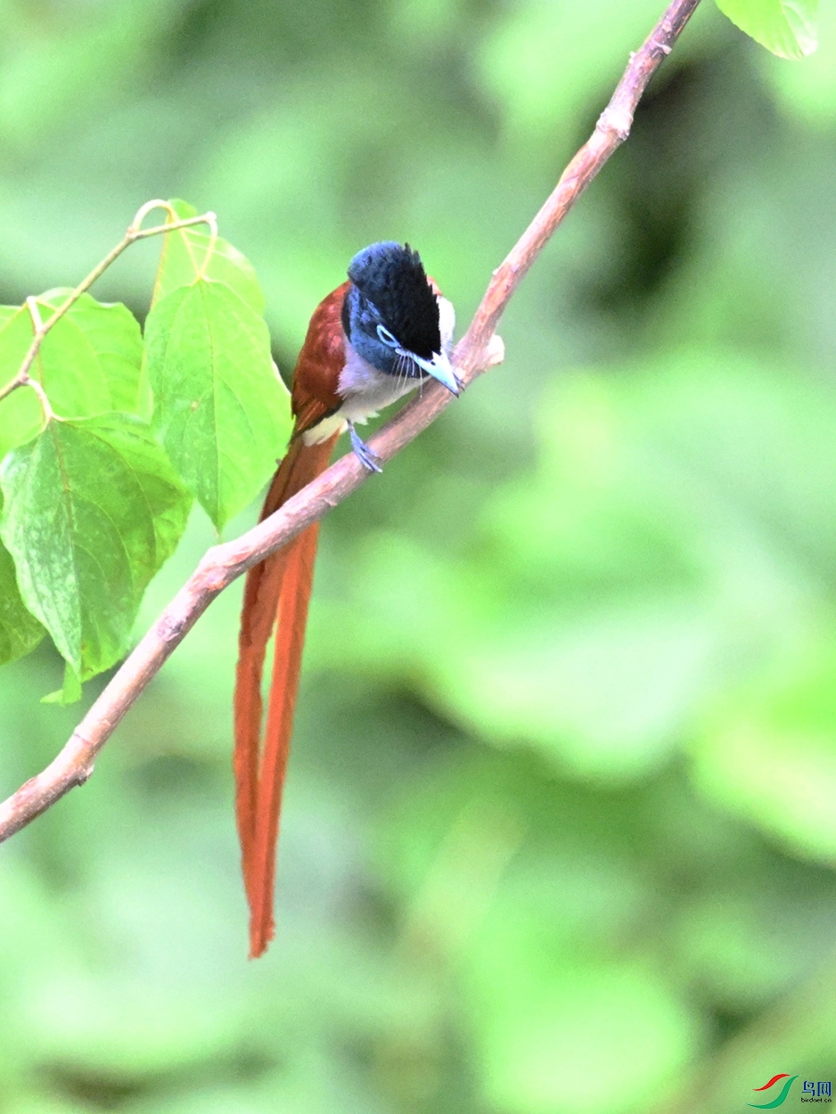 DSC_7438.JPG