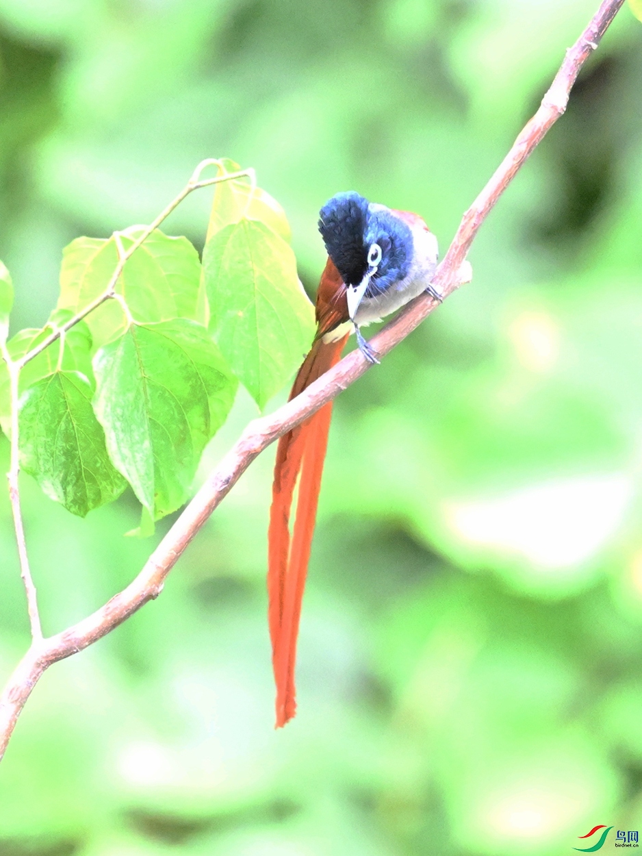DSC_7424.JPG