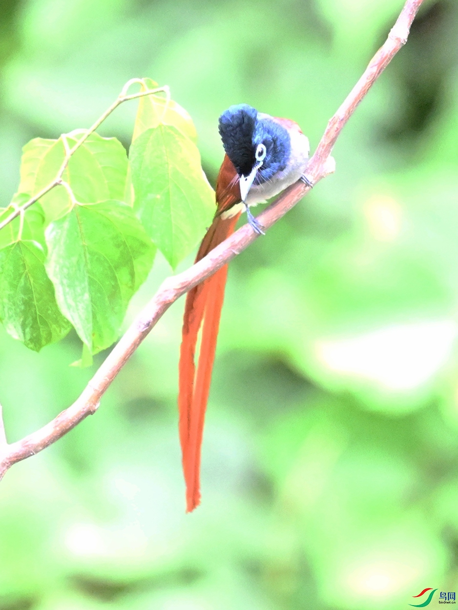 DSC_7425.JPG