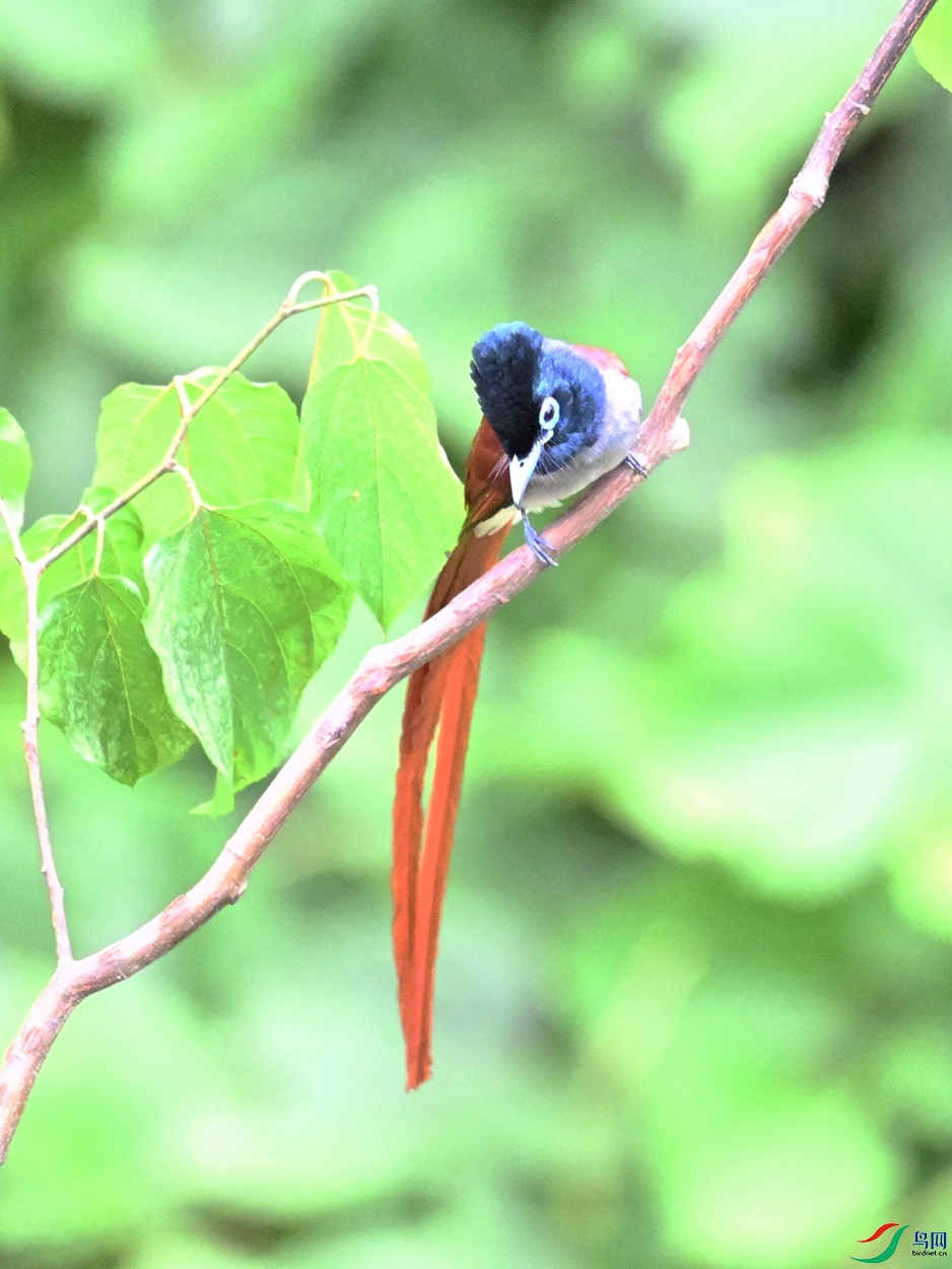 DSC_7428.JPG