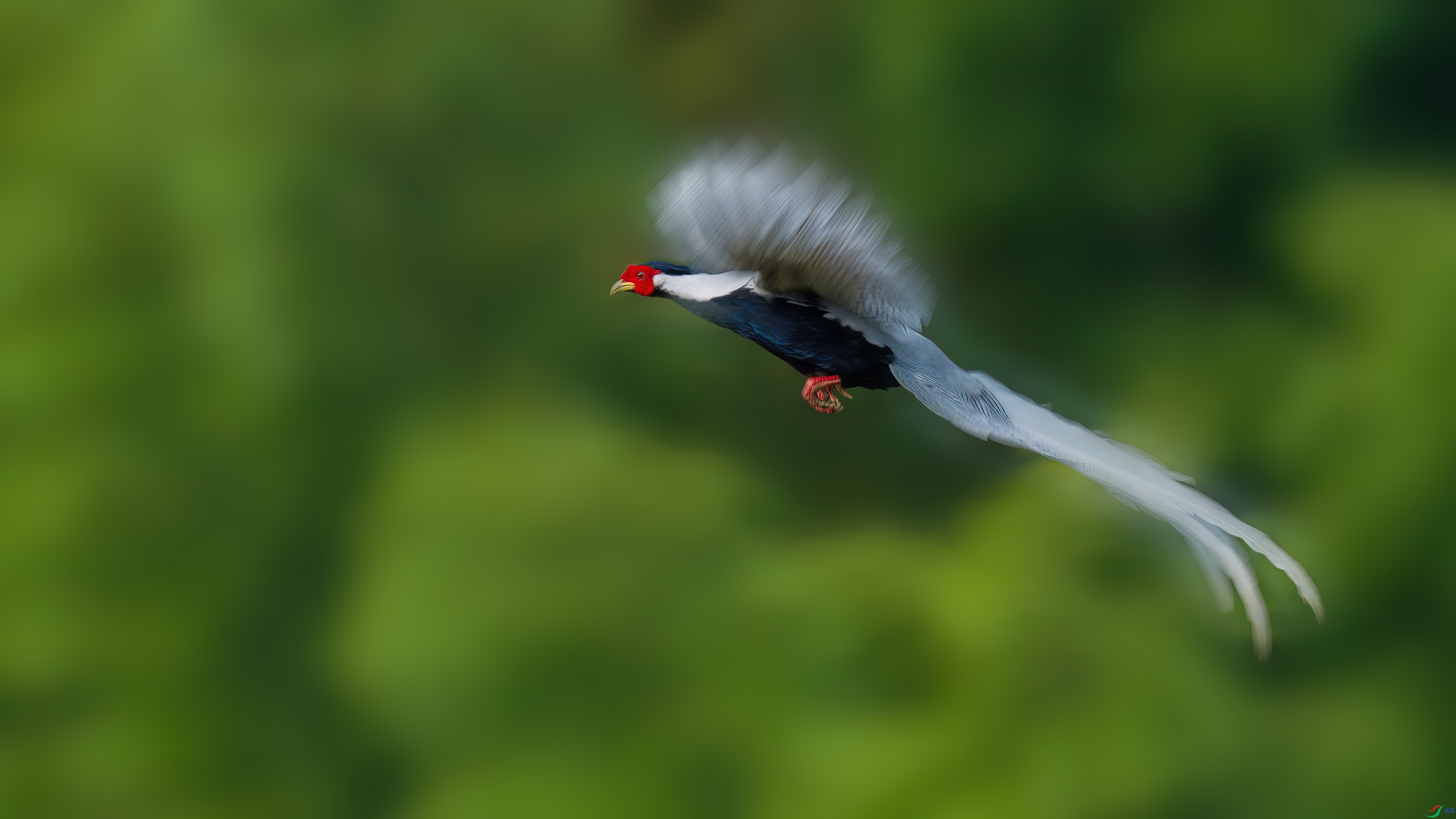 DSC04315-1.jpg