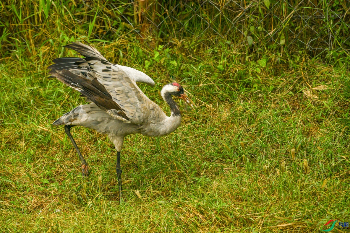 �PN_2583   ��.jpg