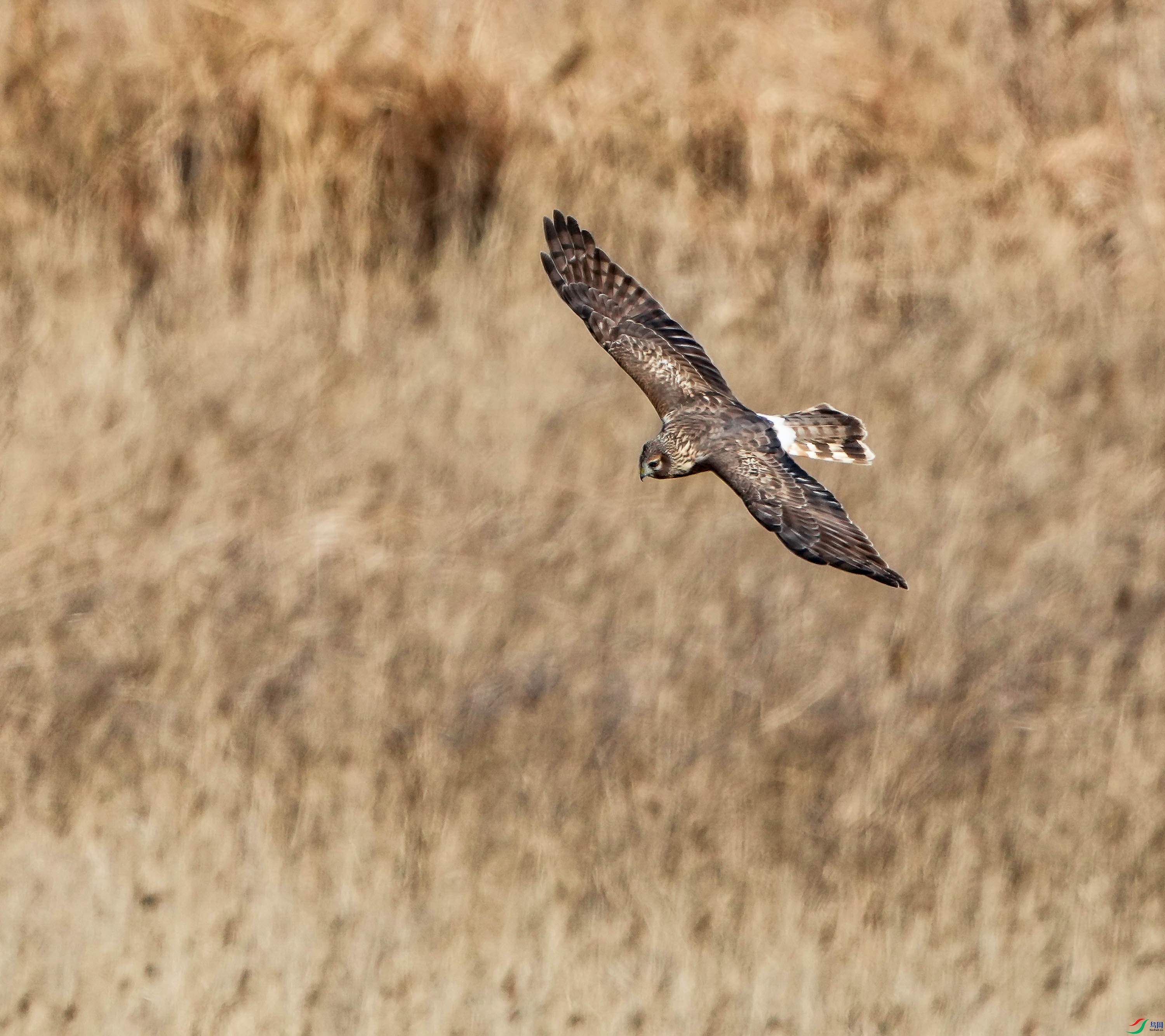 ��β��-3 (2).jpg