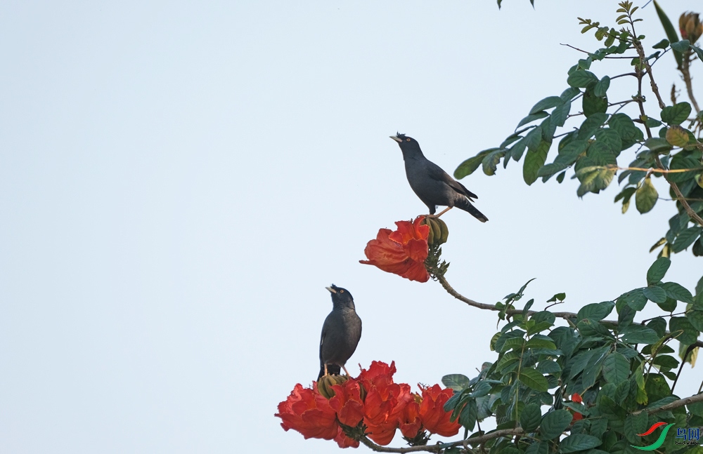 DSCF2155.1.jpg