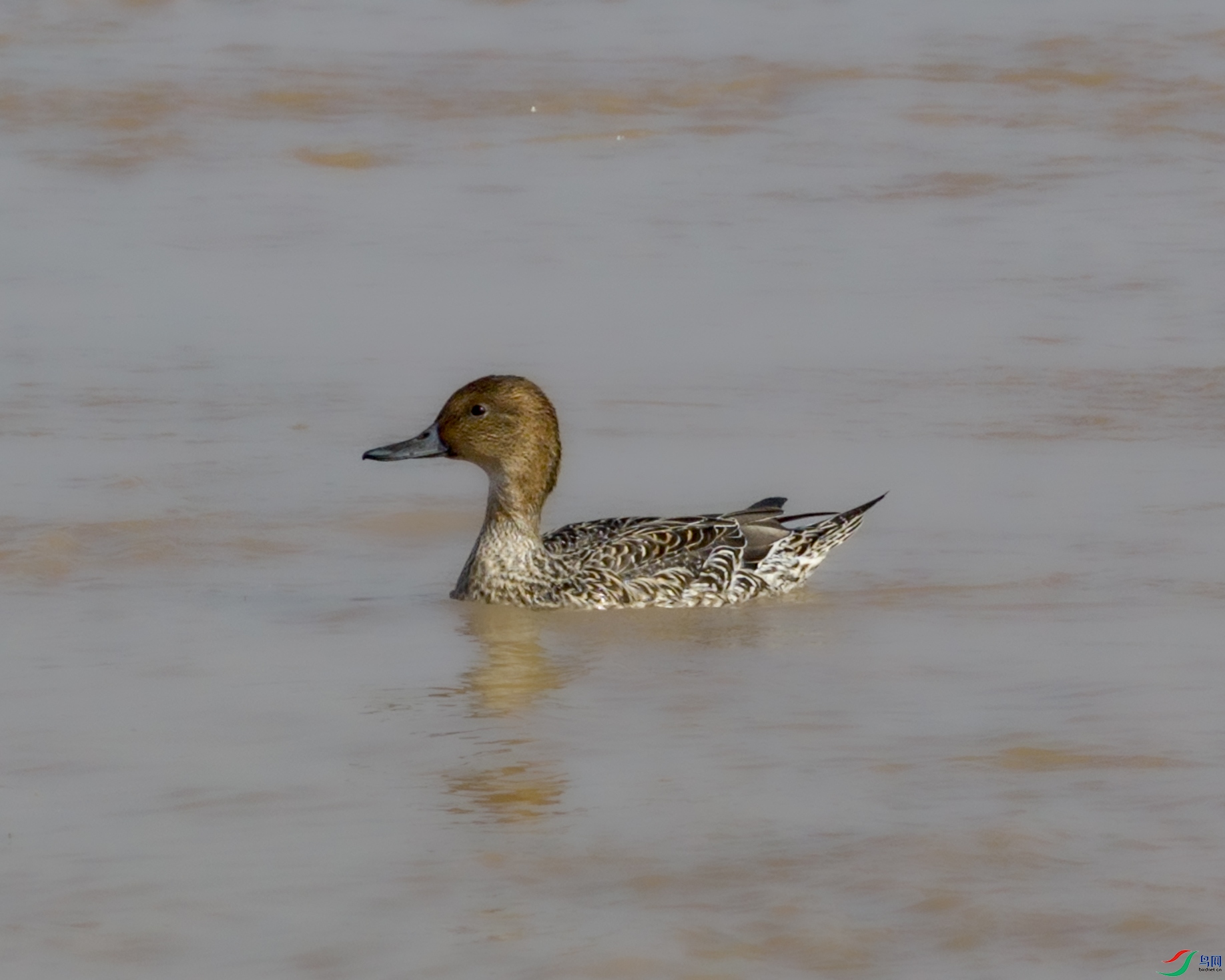 DJI_20251105103439_0323_D ����.jpg