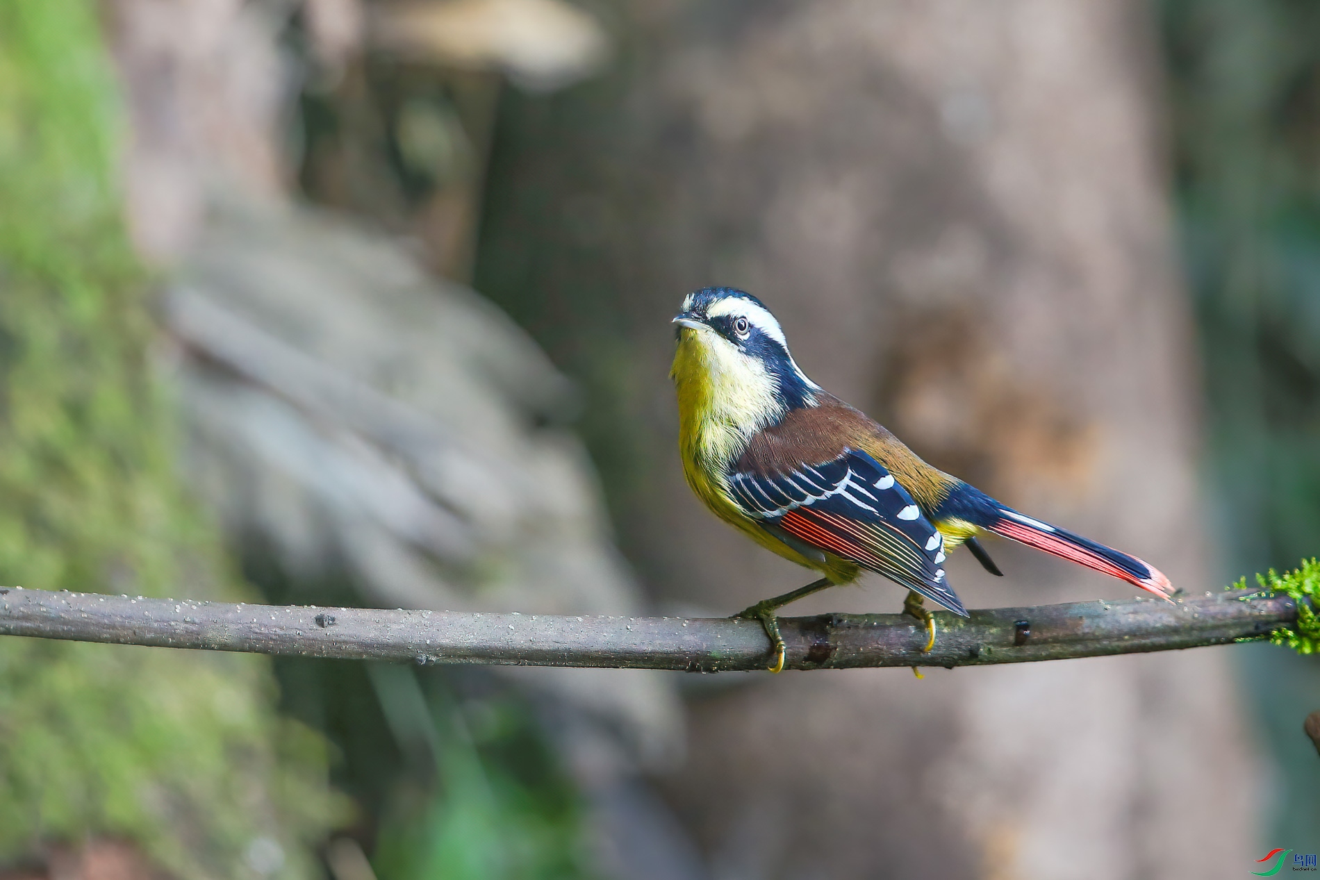 a_1204-1.jpg