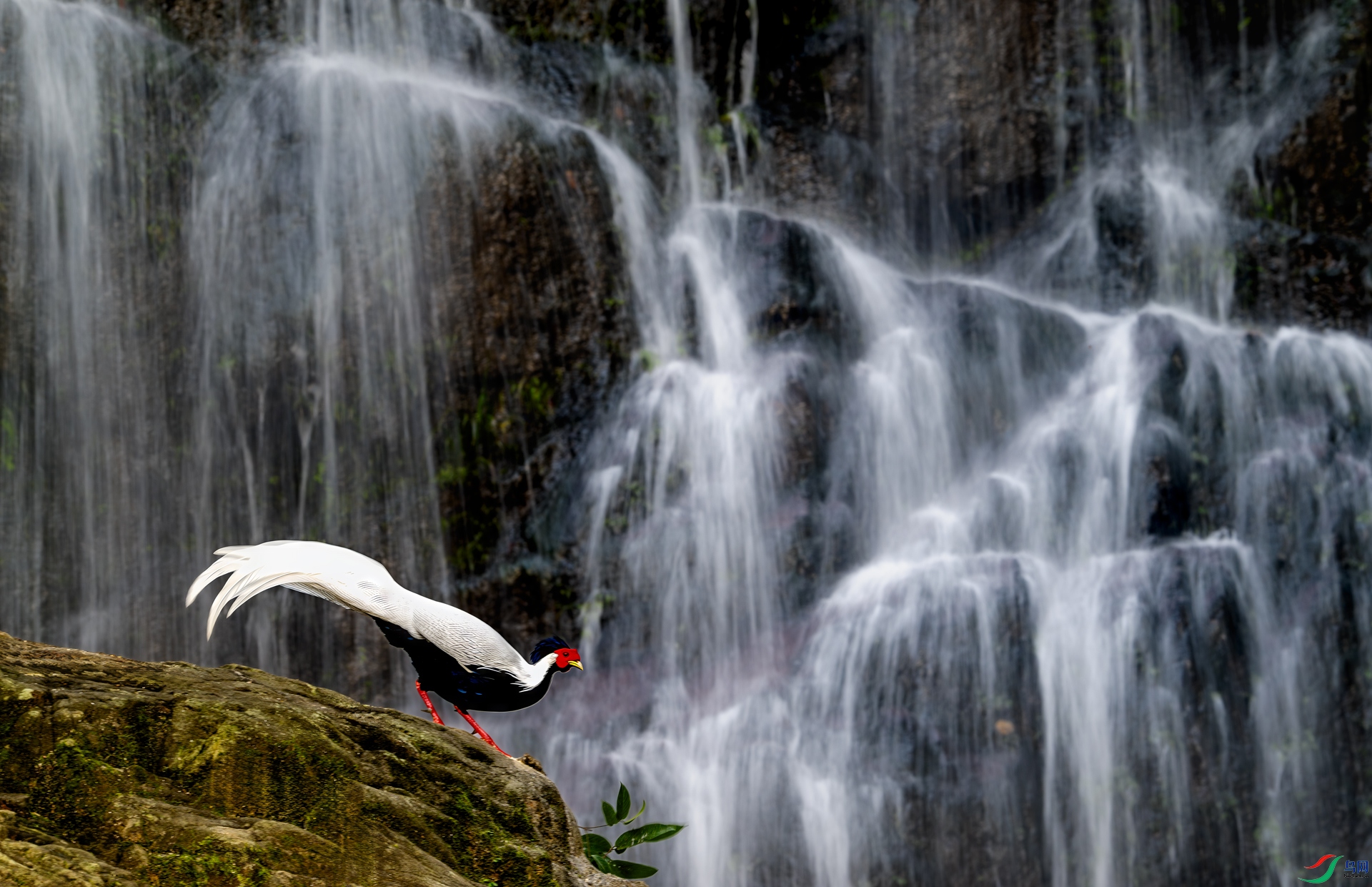 DSC_5030-1.jpg