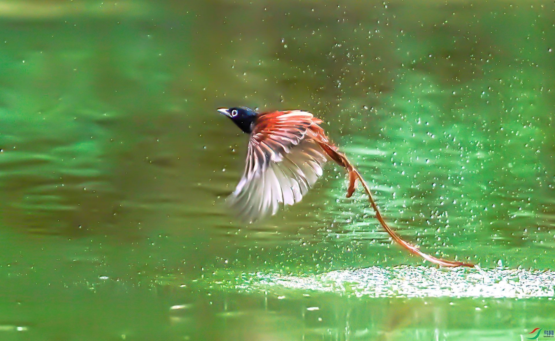 _S7I0129 ����-Sh----1 .jpg