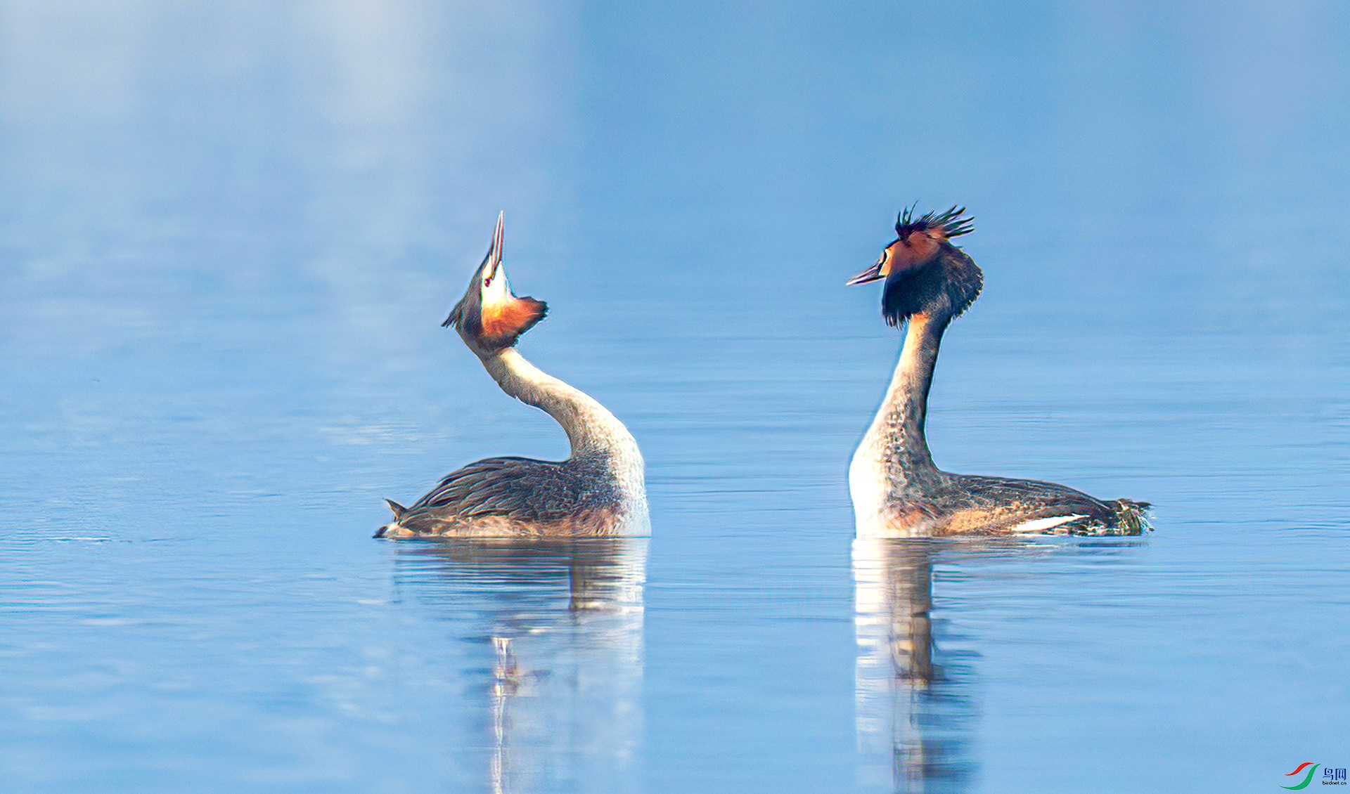 AS7I0044 ����-Sh---1 .jpg