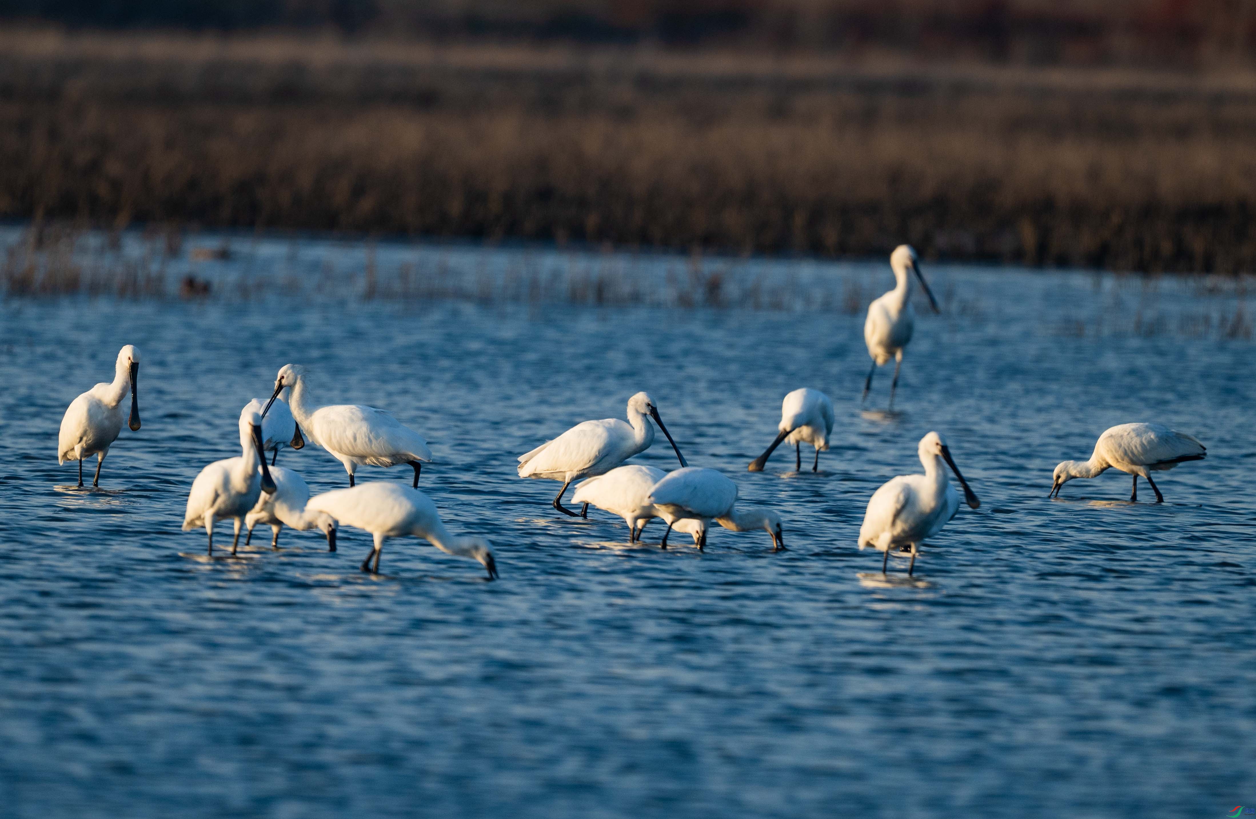 DSC_7284.jpg