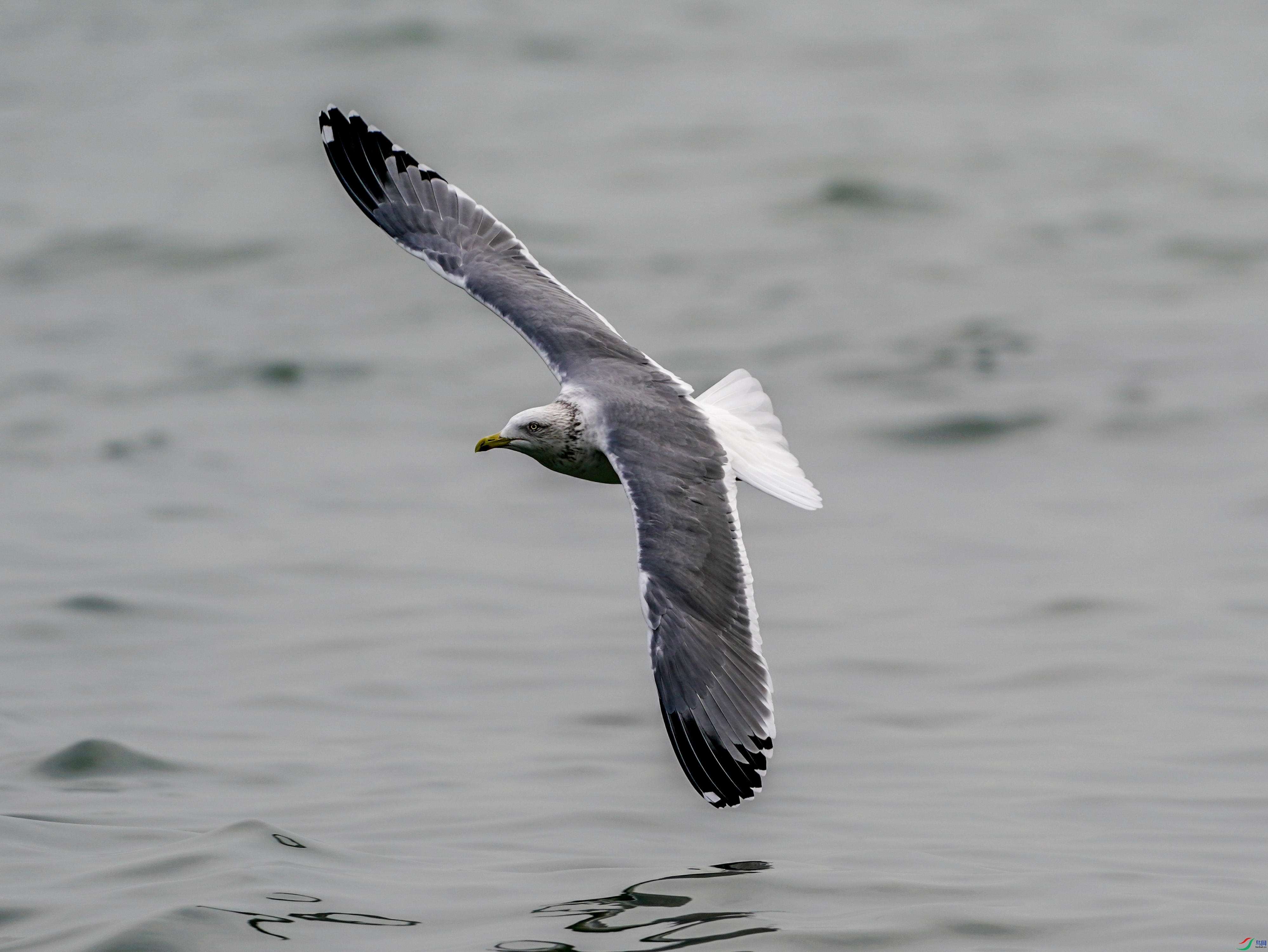 ��Ÿ-3-15-368.jpg
