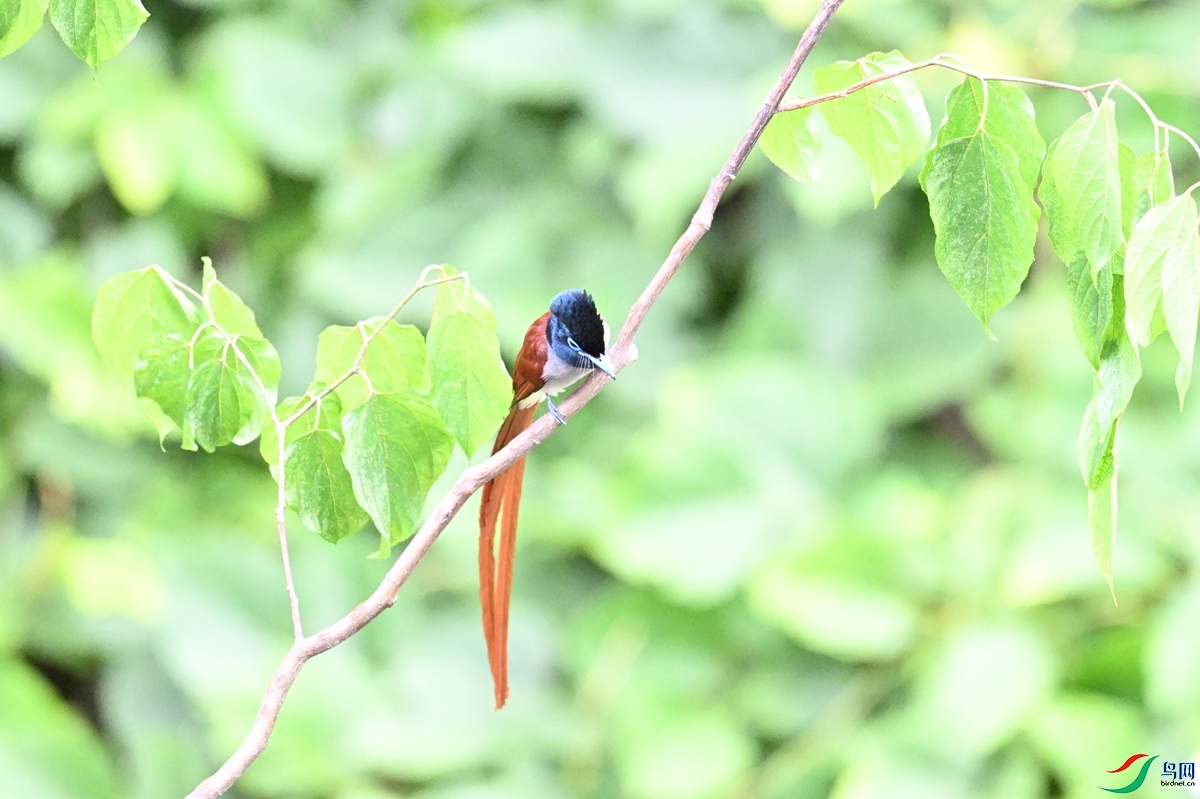 DSC_7440.JPG