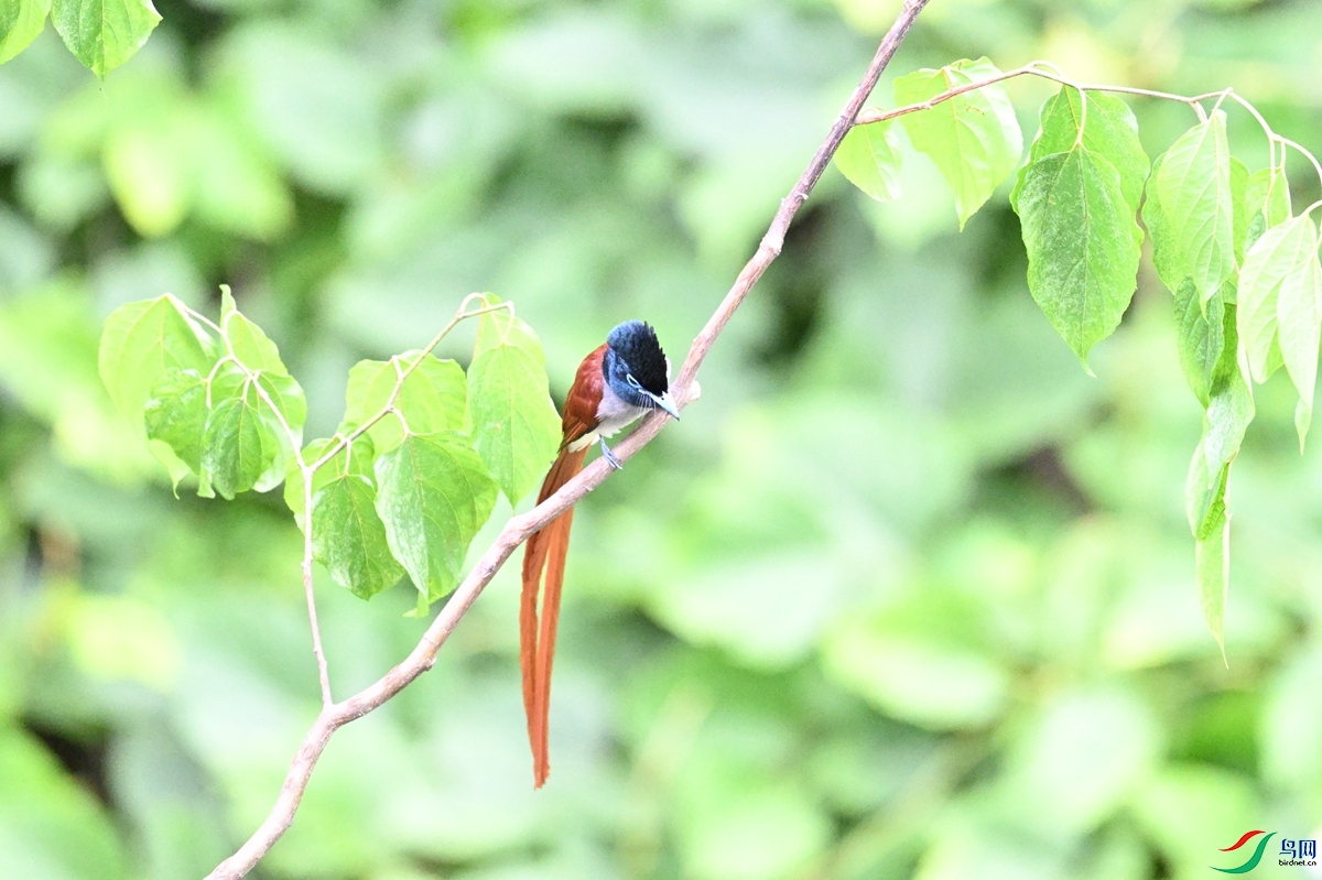 DSC_7443.JPG