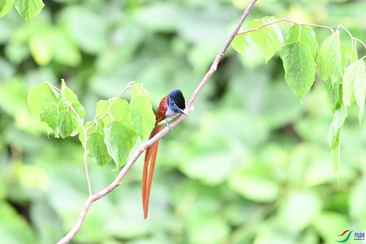 DSC_7446.JPG