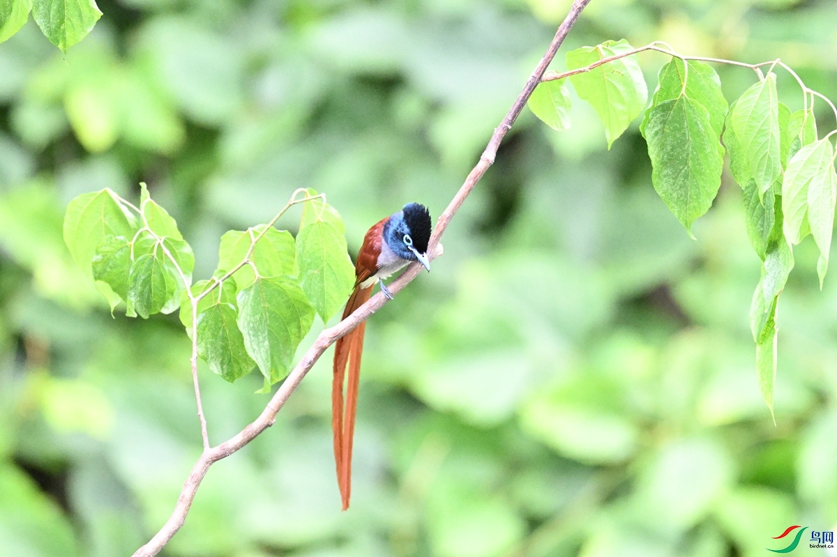 DSC_7455.JPG