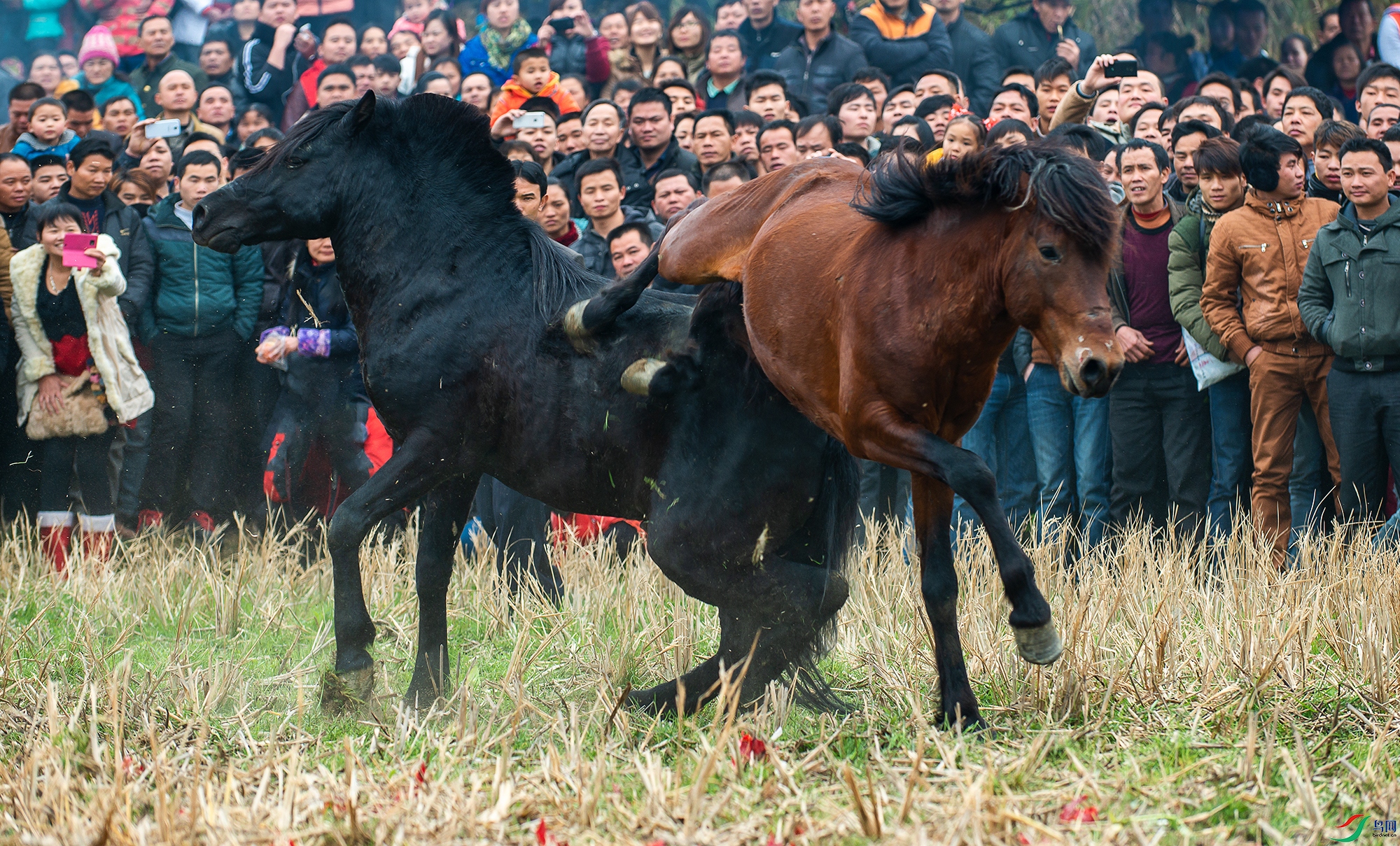DSC_5318a.jpg