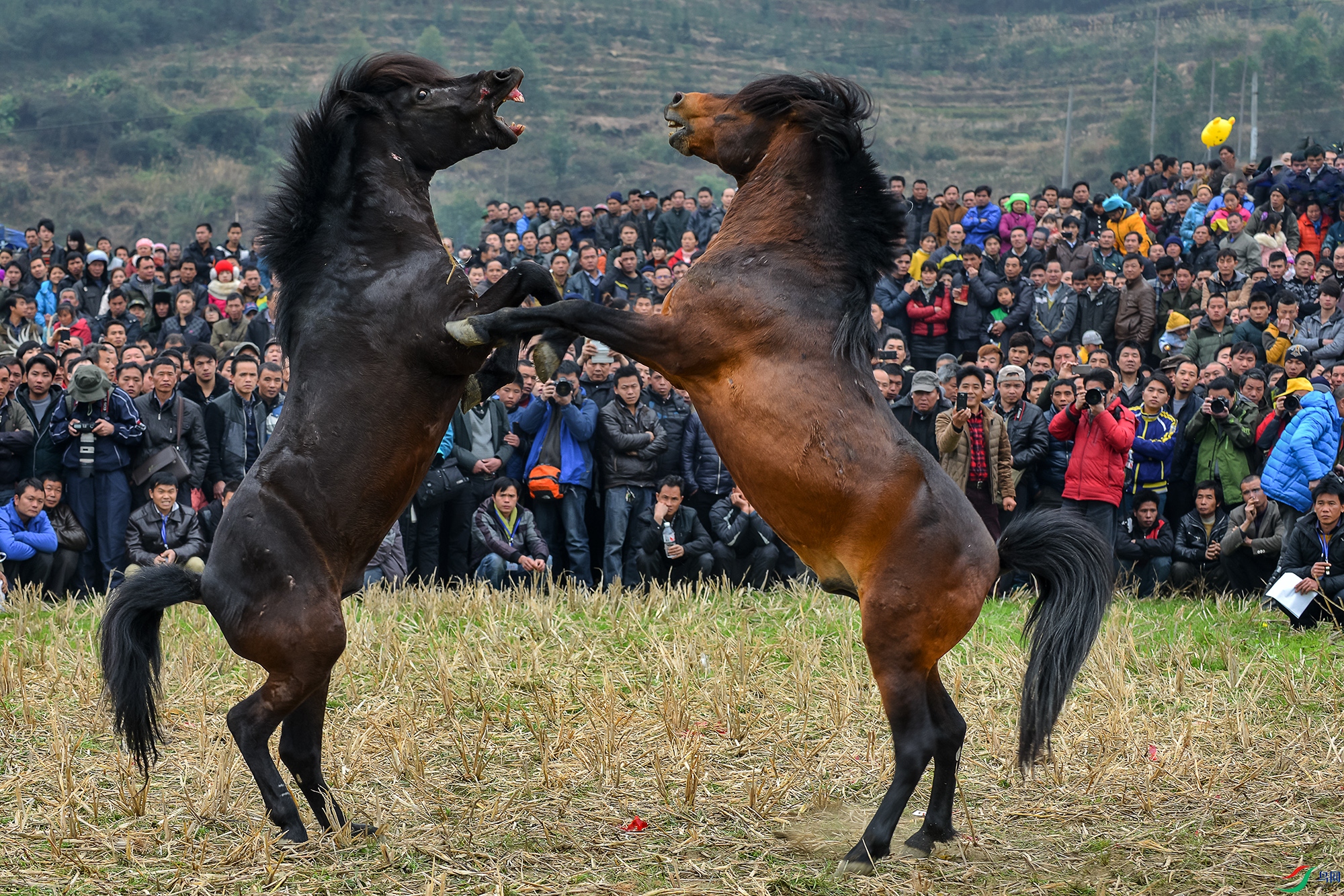 DSC_5585a.jpg