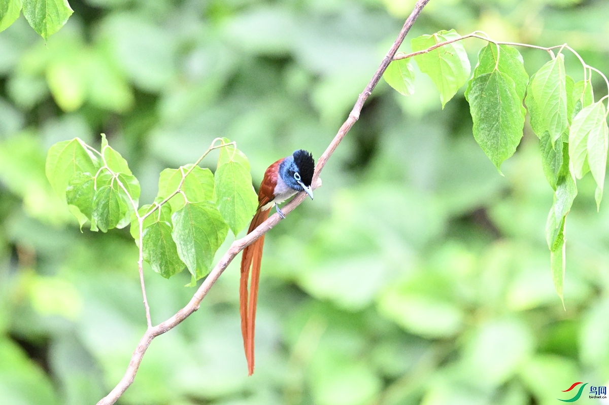 DSC_7463.JPG