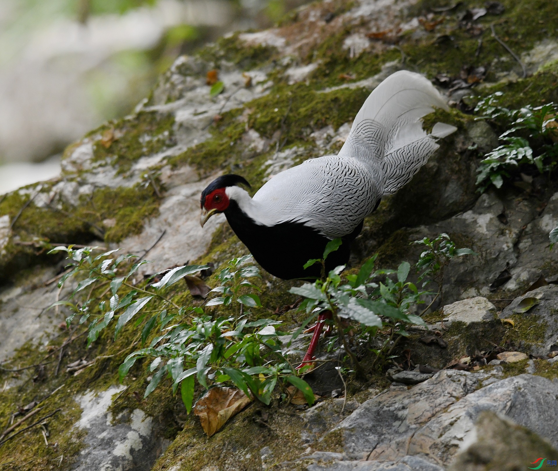 DSC_5089.jpg