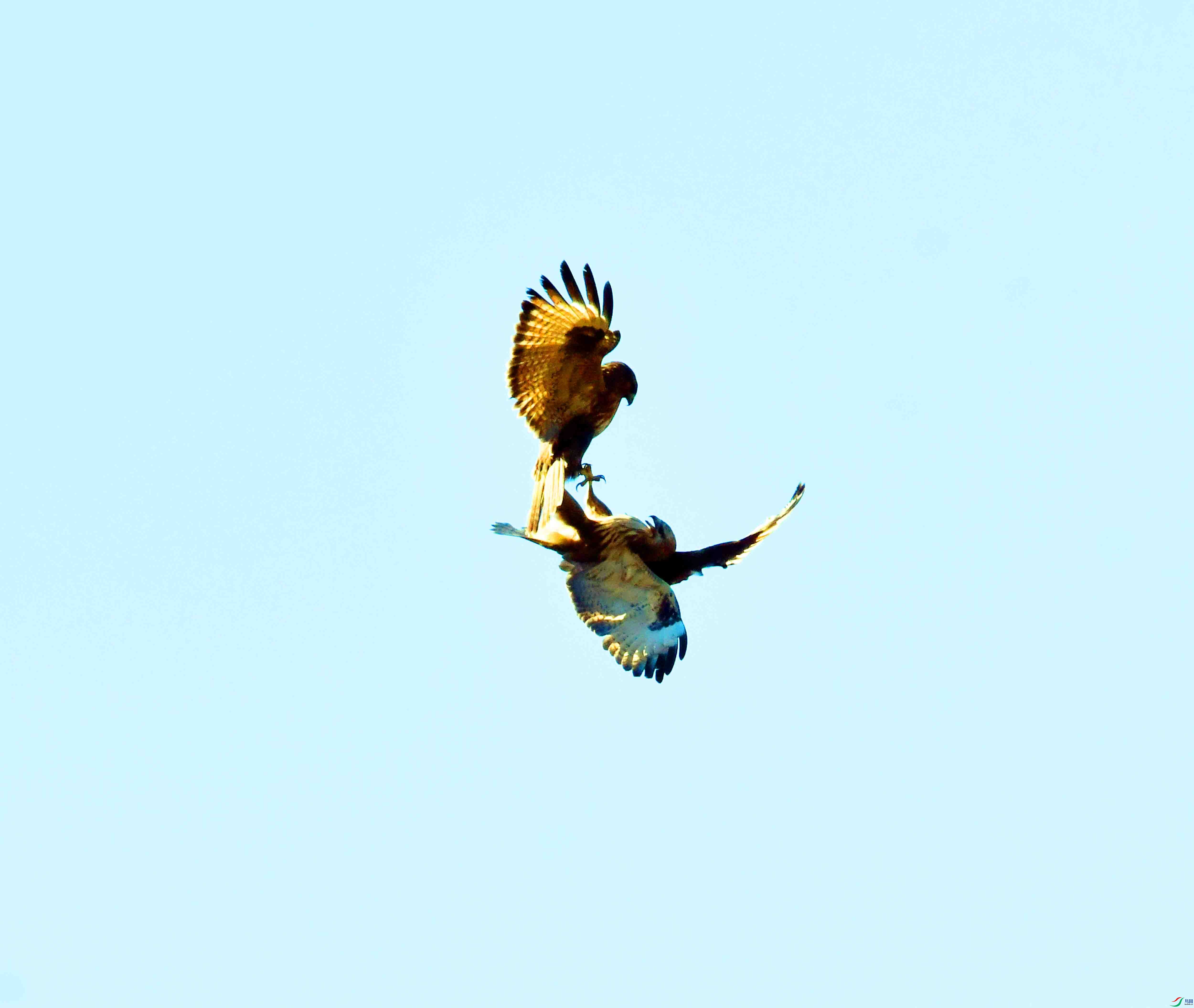 DSC_6719.JPG