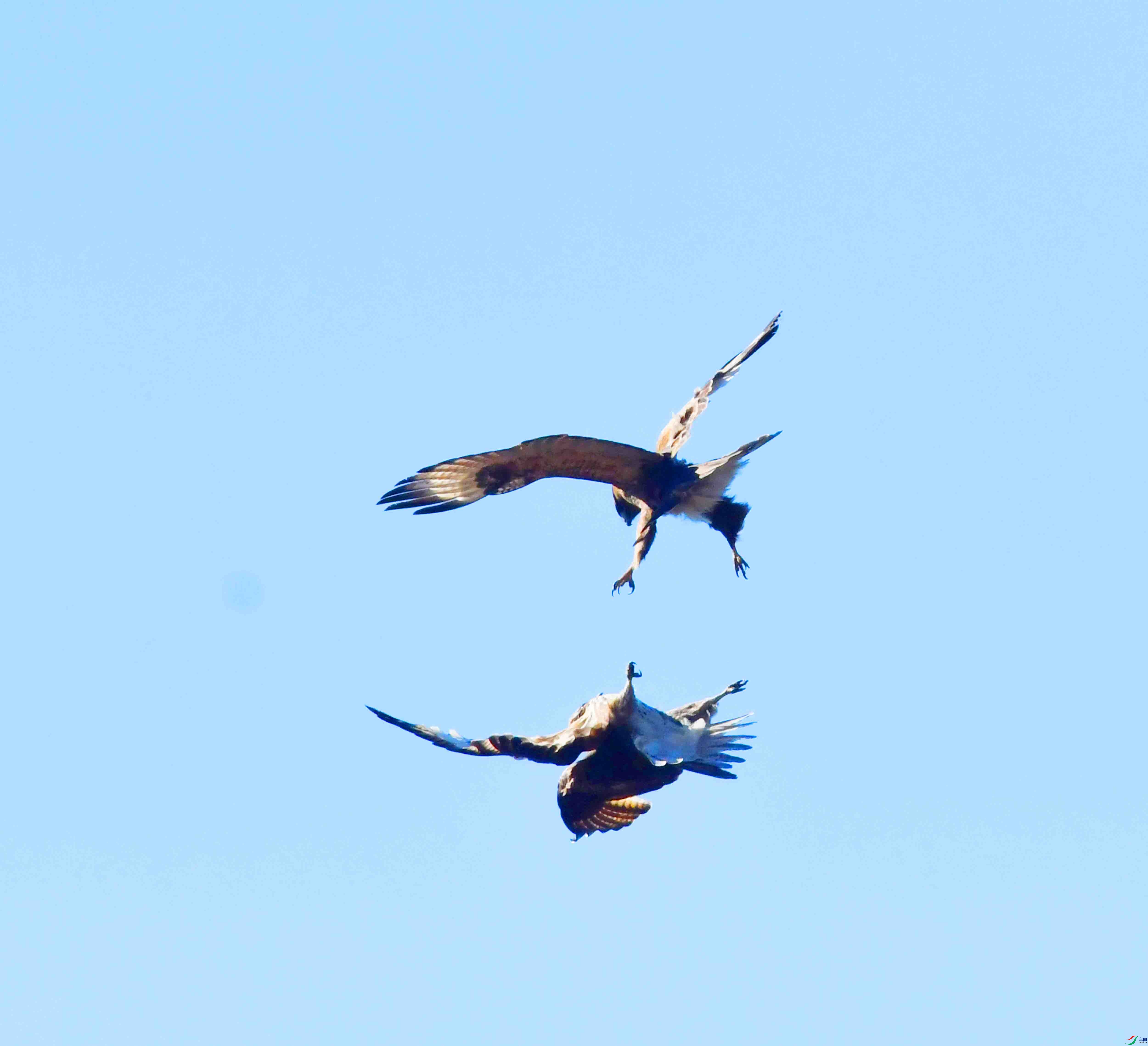 DSC_6728.JPG