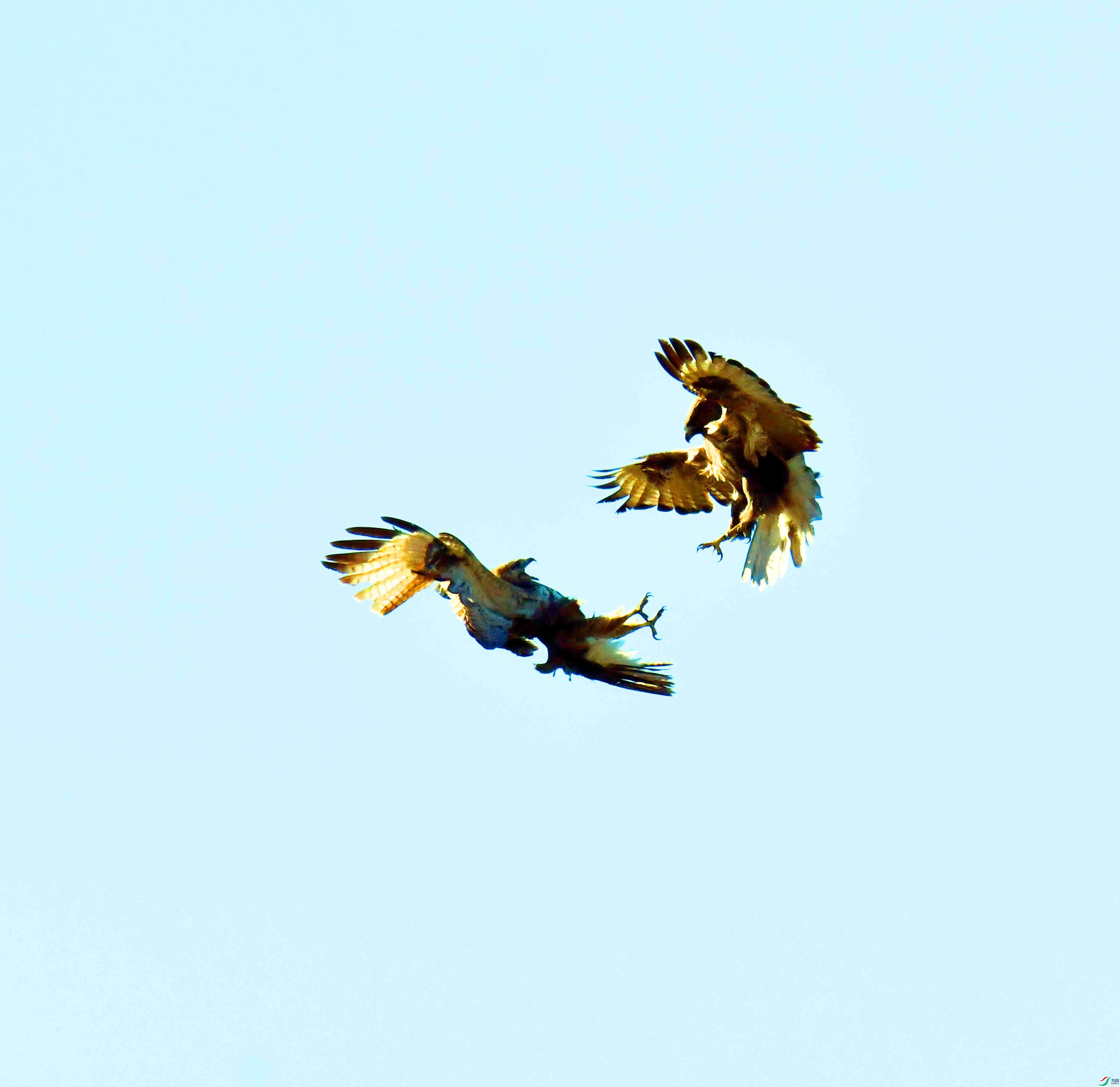 DSC_6733.JPG