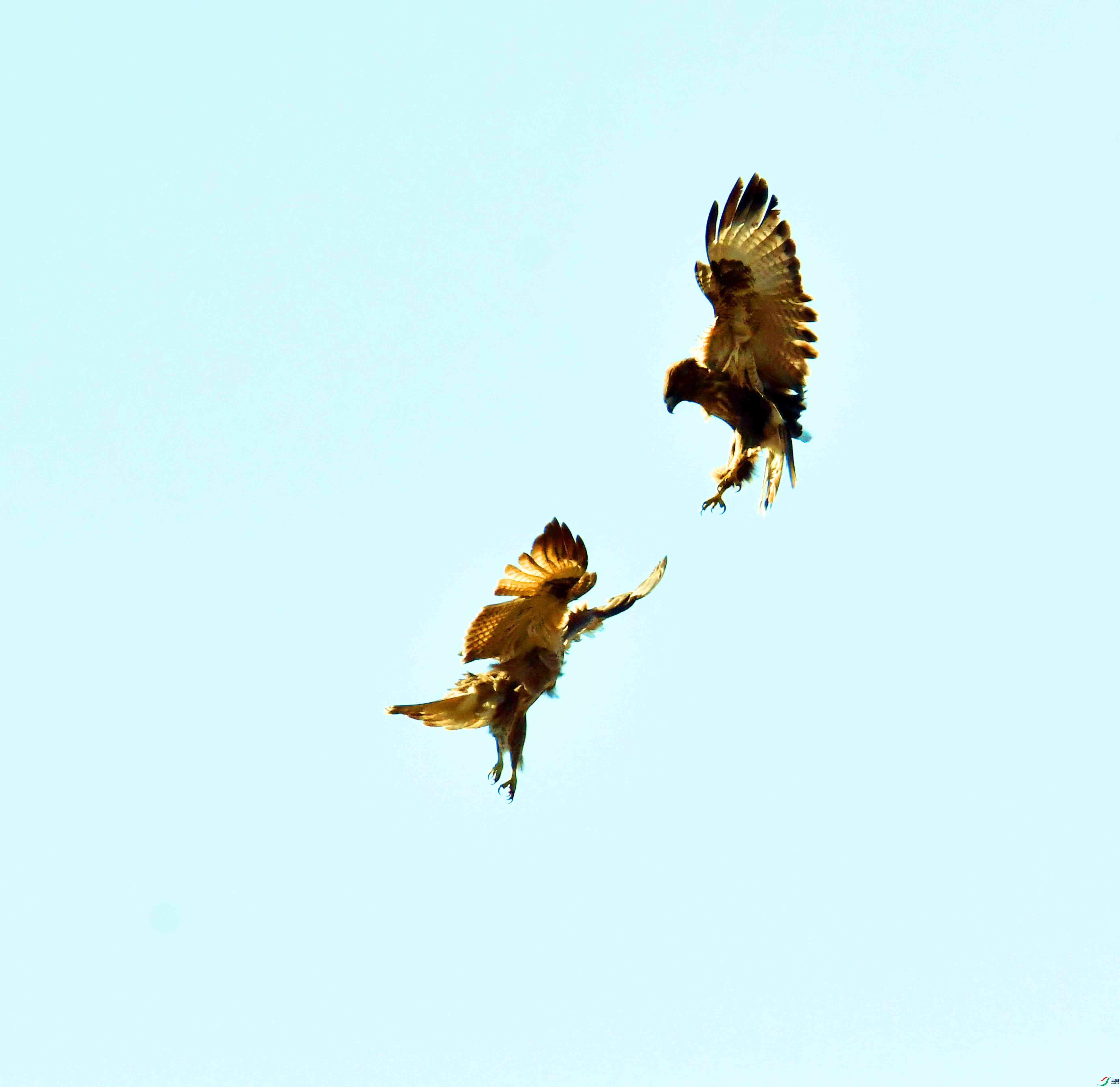 DSC_6735.JPG