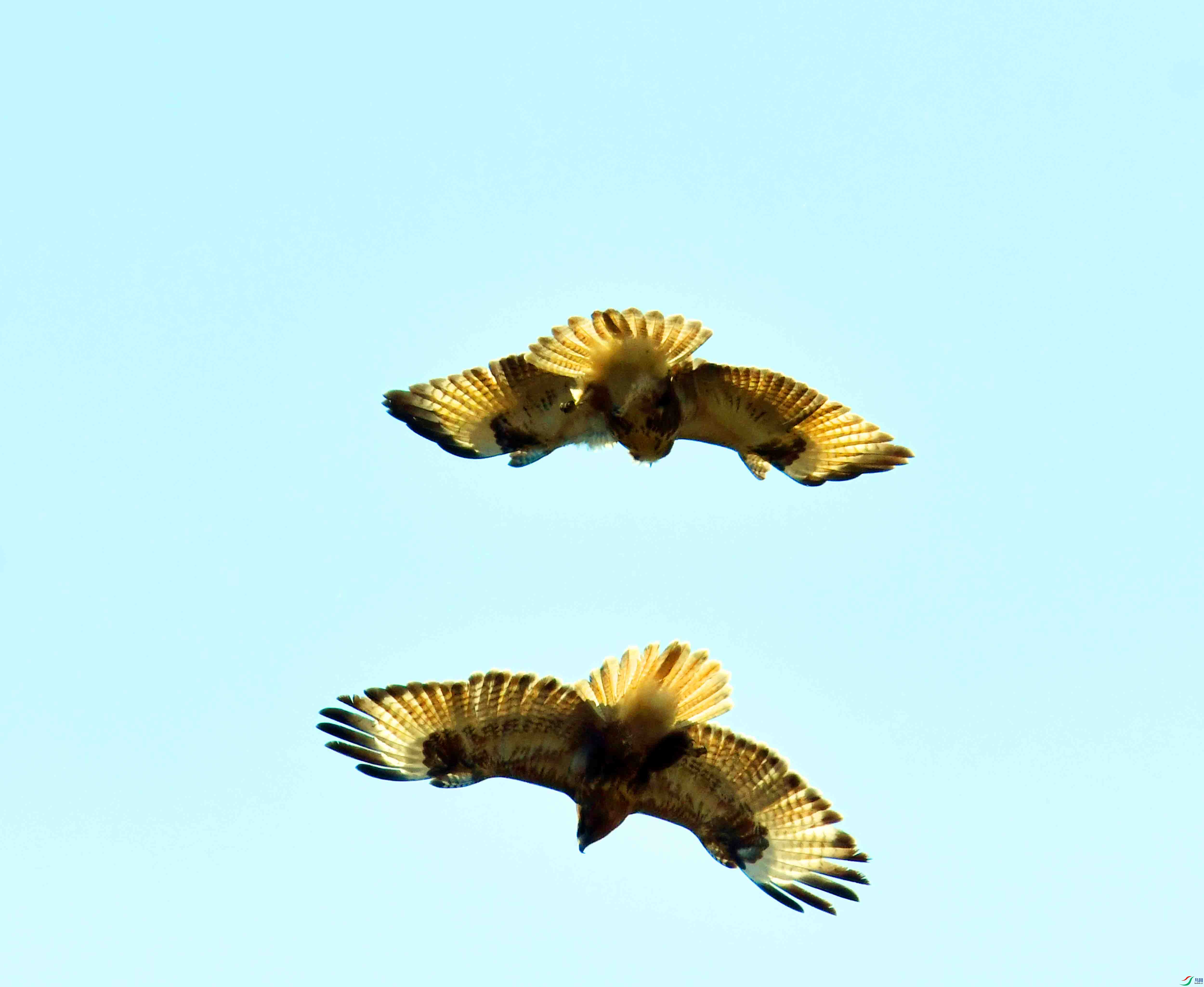 DSC_6739.JPG