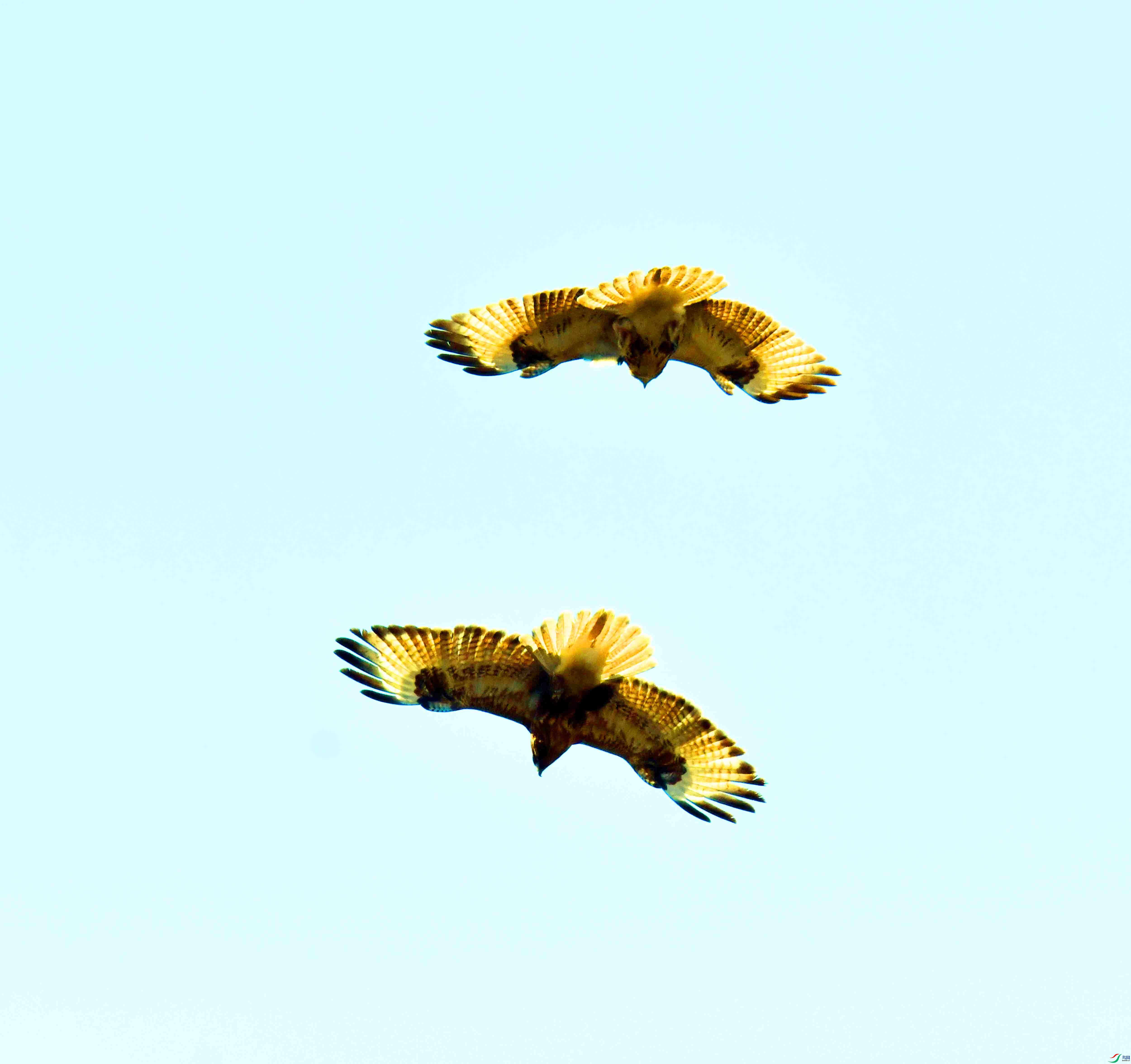 DSC_6740.JPG