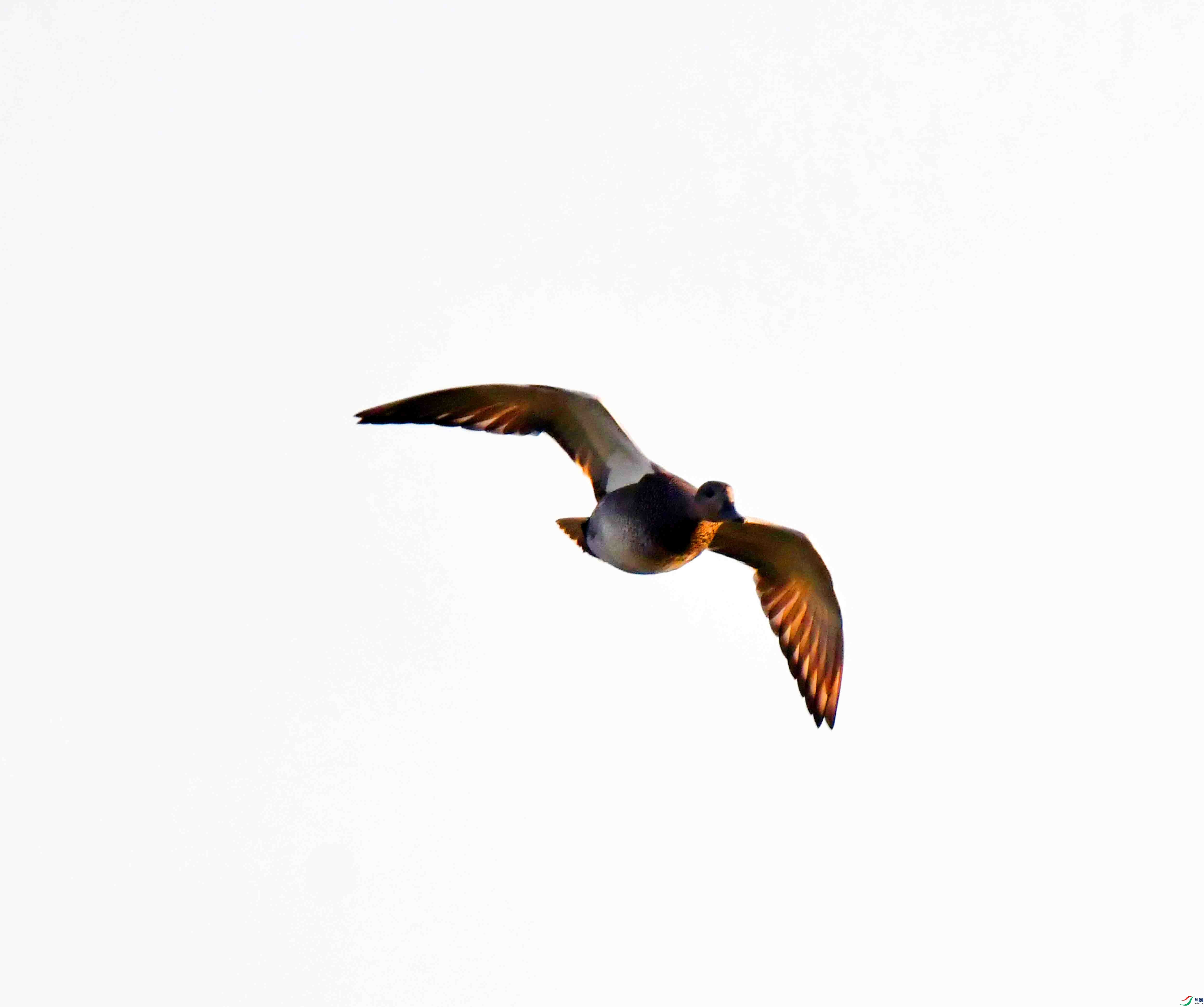 DSC_2639.JPG