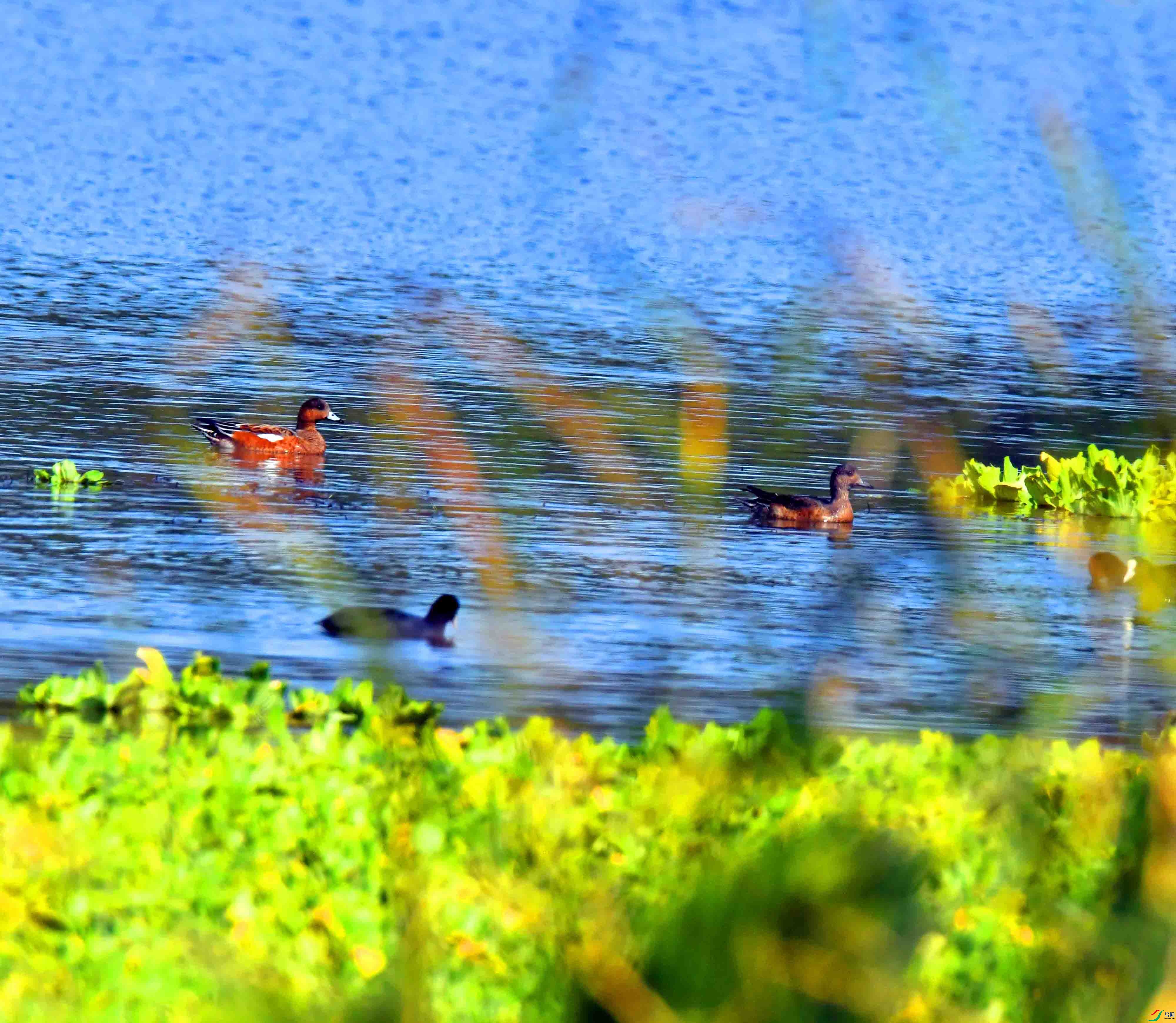 DSC_3083.JPG