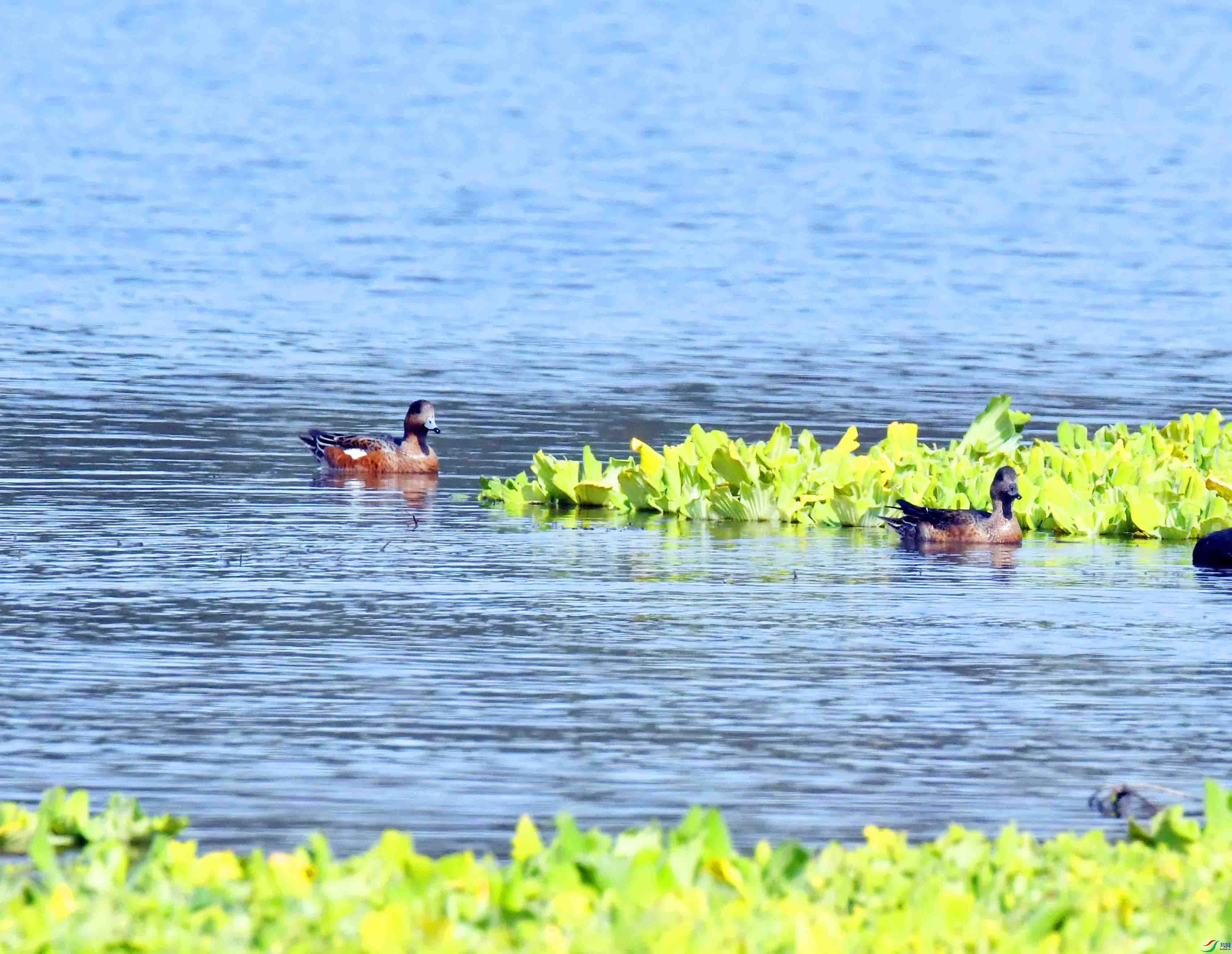 DSC_3097.JPG