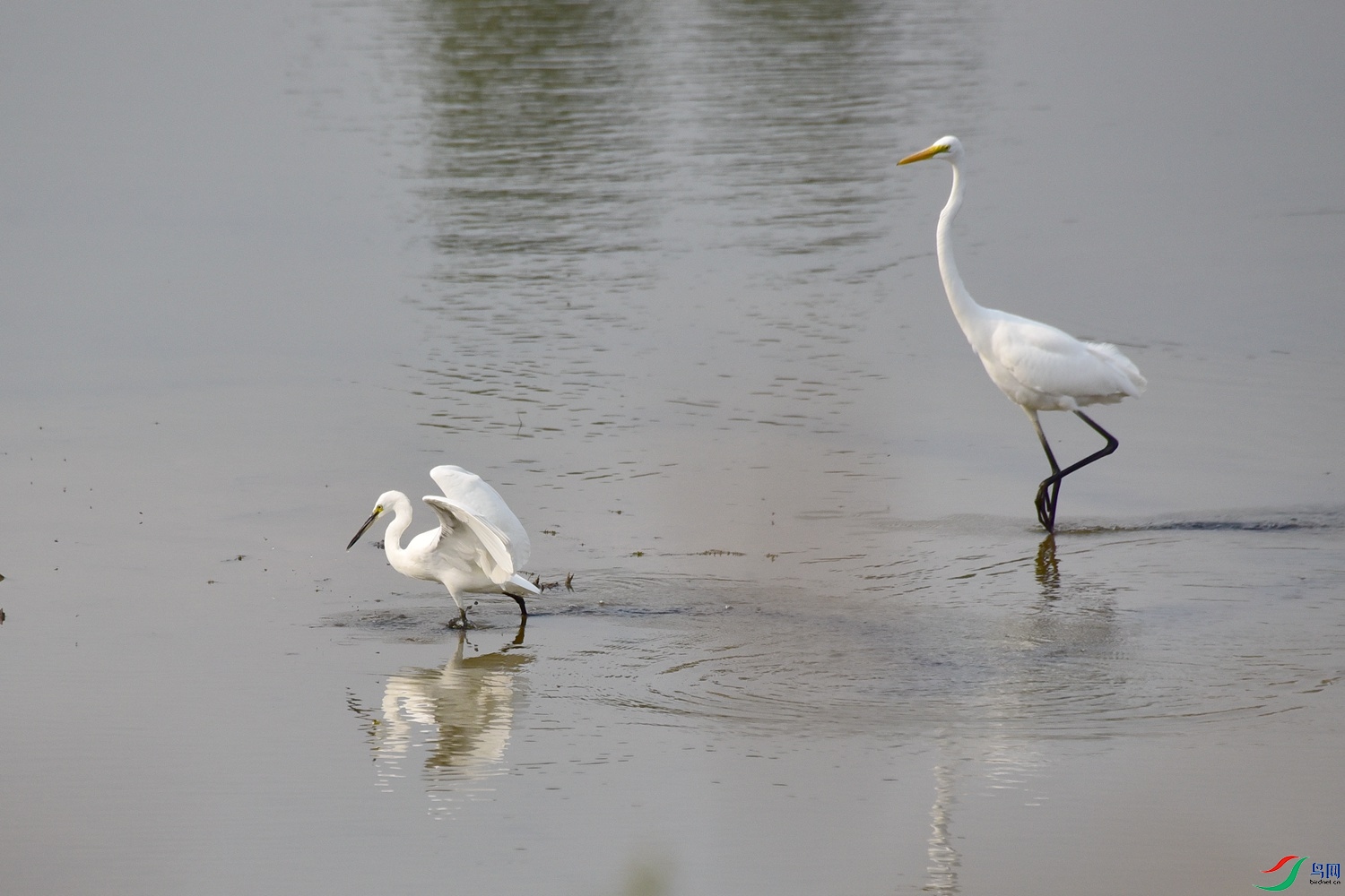 DSC_4075.JPG