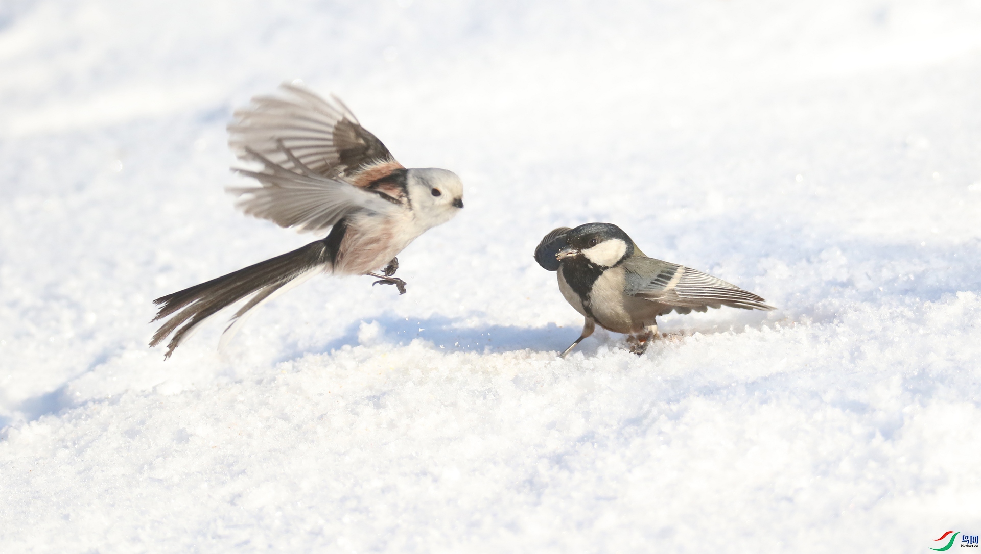 0G1A2185 ����.jpg