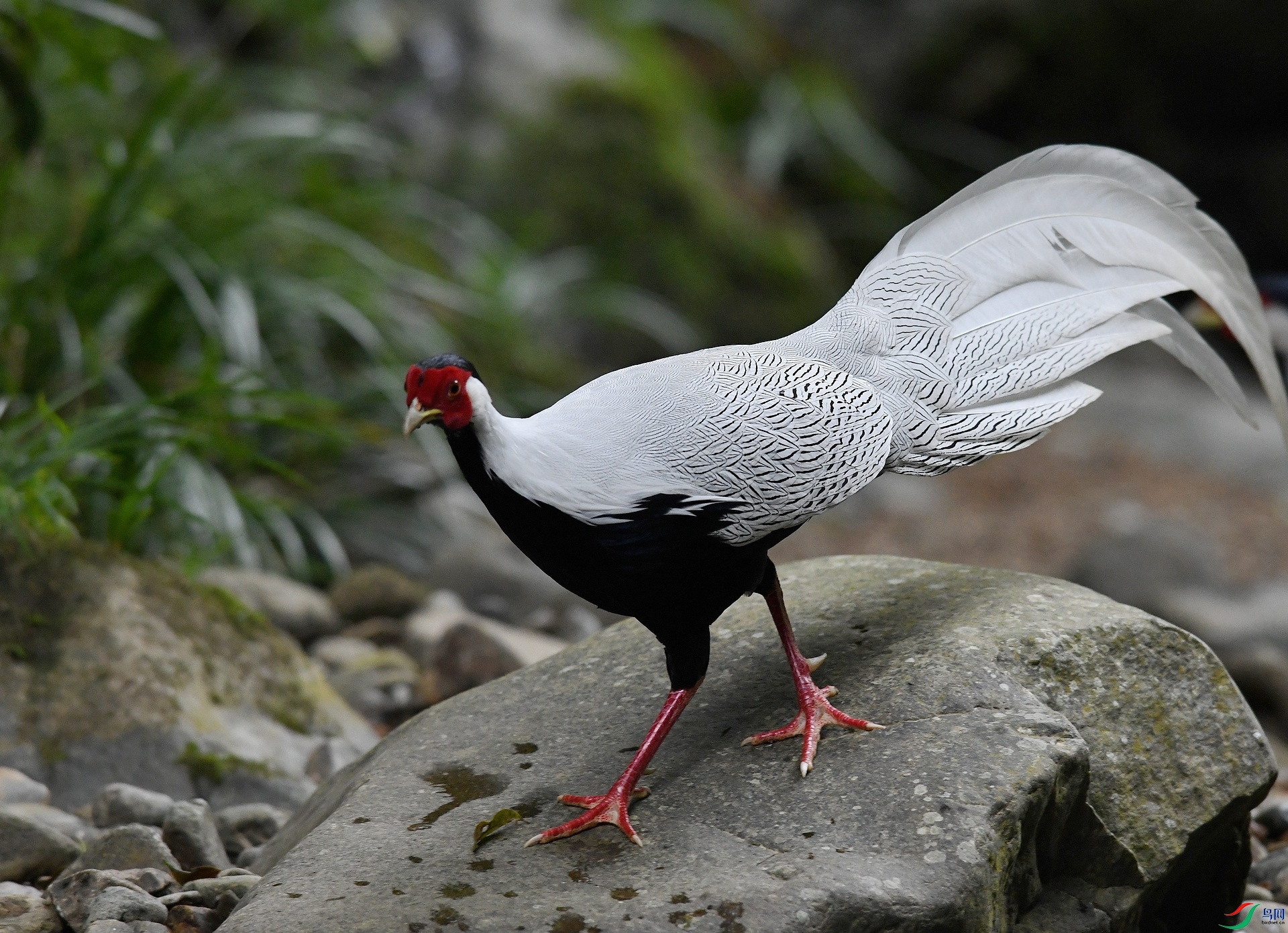 DSC_5214.jpg