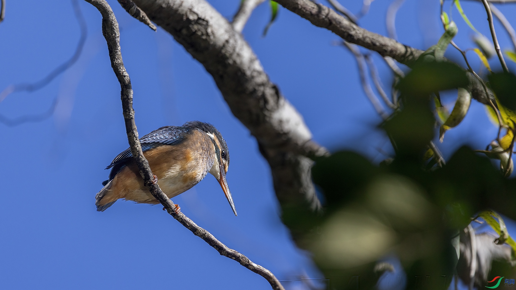 708A2121 ���� 2.jpg