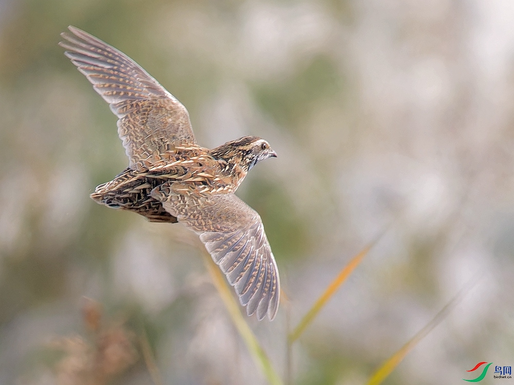 PB052551_DxO - ����.jpg