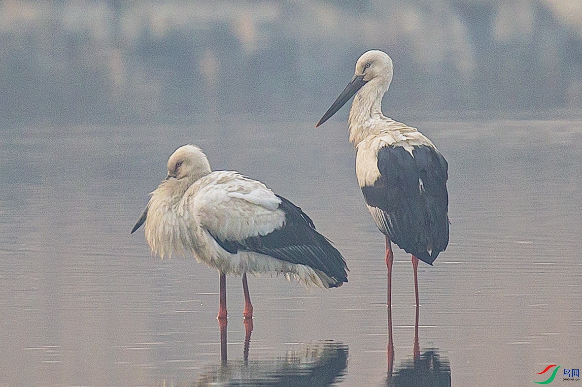 _MG_1396 ����.jpg