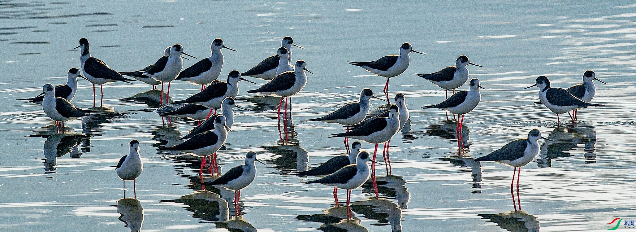 _MG_0194 ���� 2.jpg