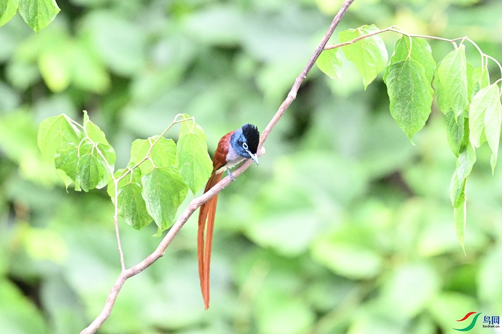 DSC_7465.JPG