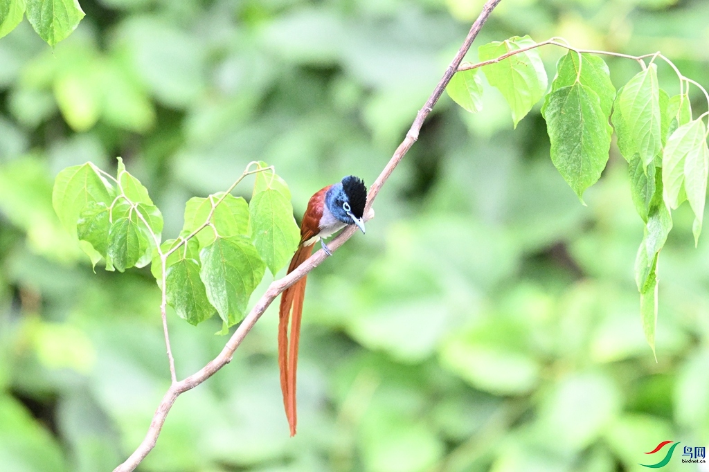 DSC_7469.JPG