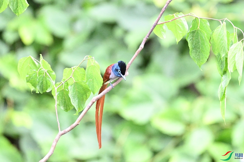 DSC_7476.JPG