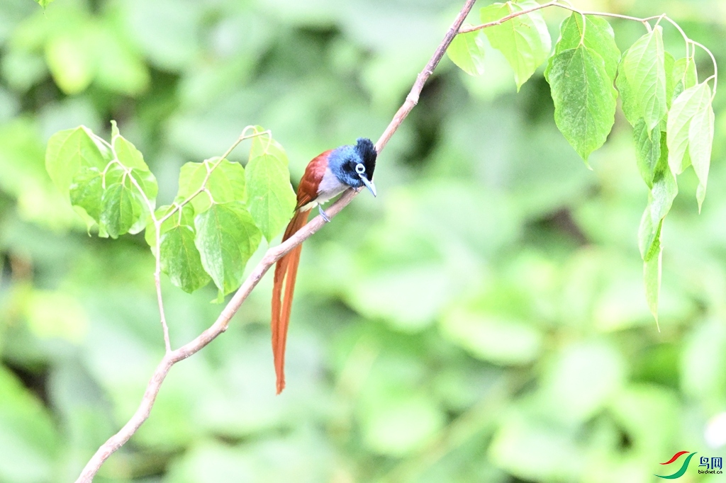 DSC_7478.JPG