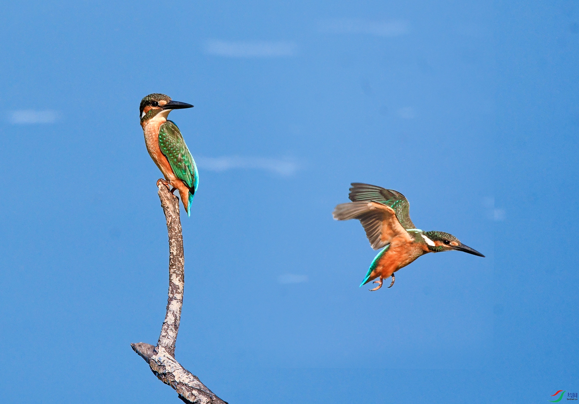 DSC_7279_��ͼ�� ����.jpg