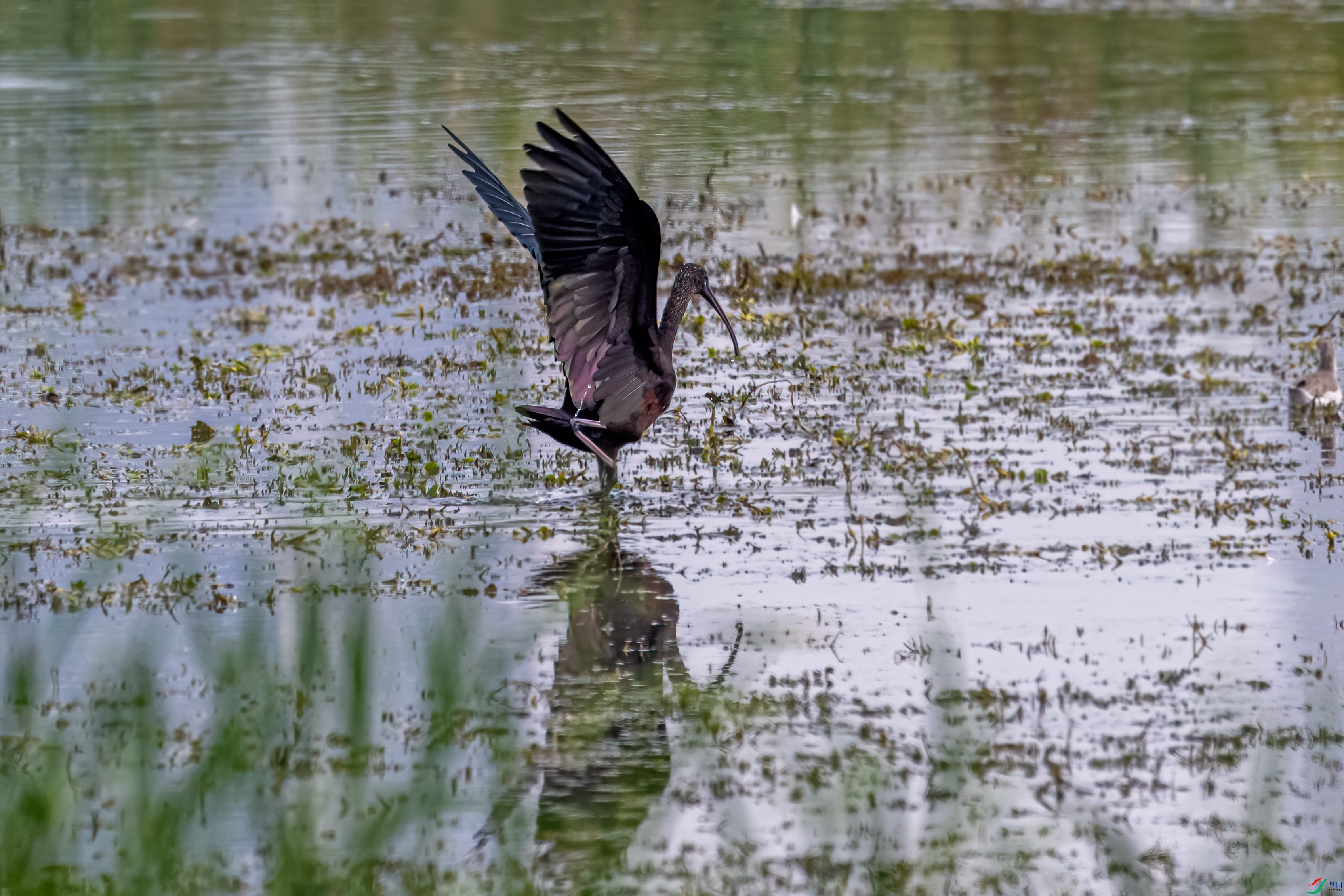 DSC_1444-1.jpg