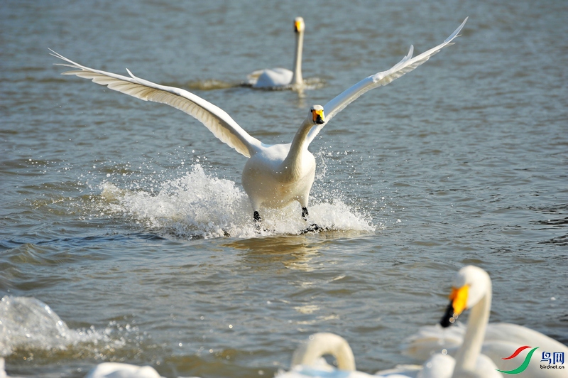 DSC_5490.JPG