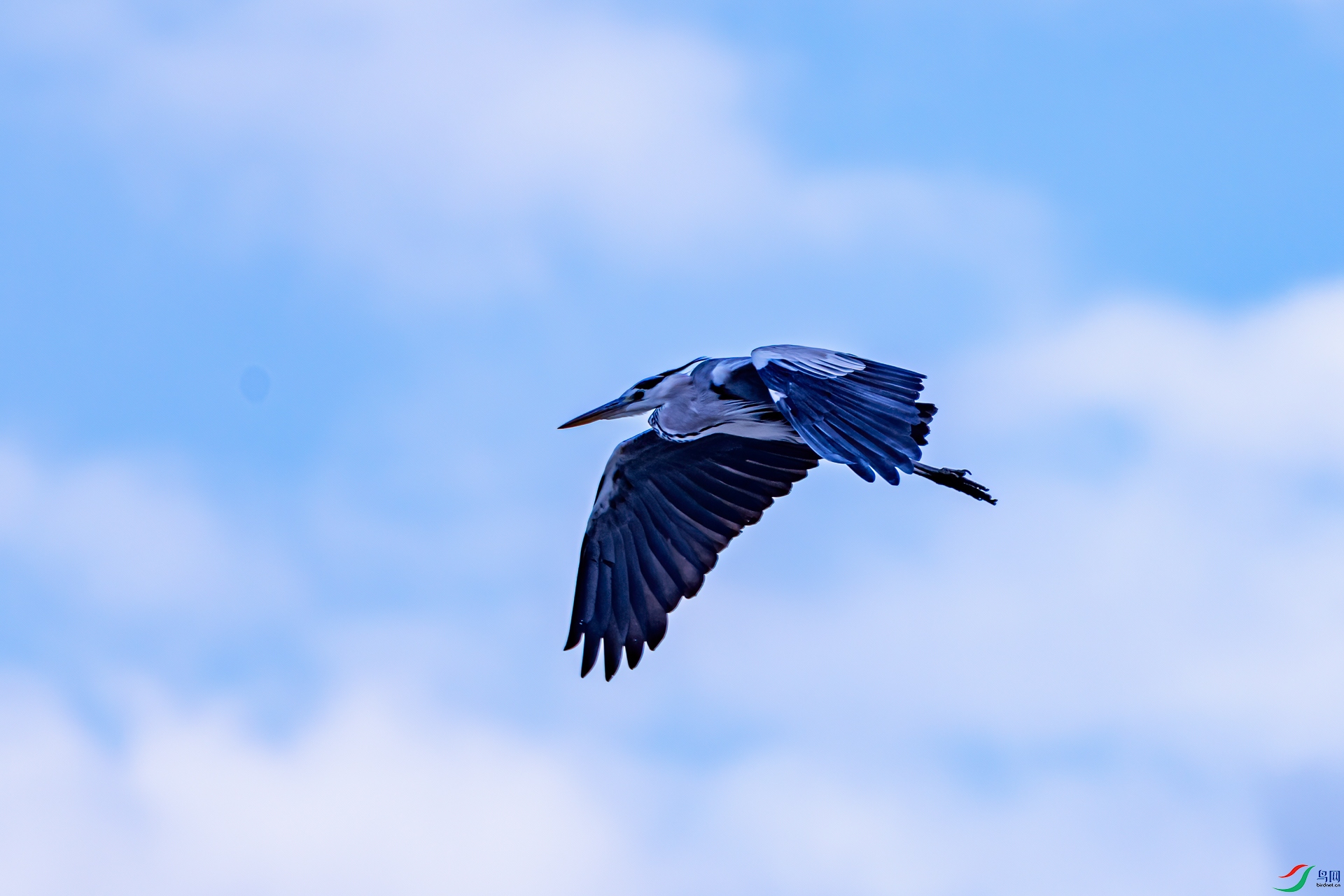 DSC_1543-11.jpg