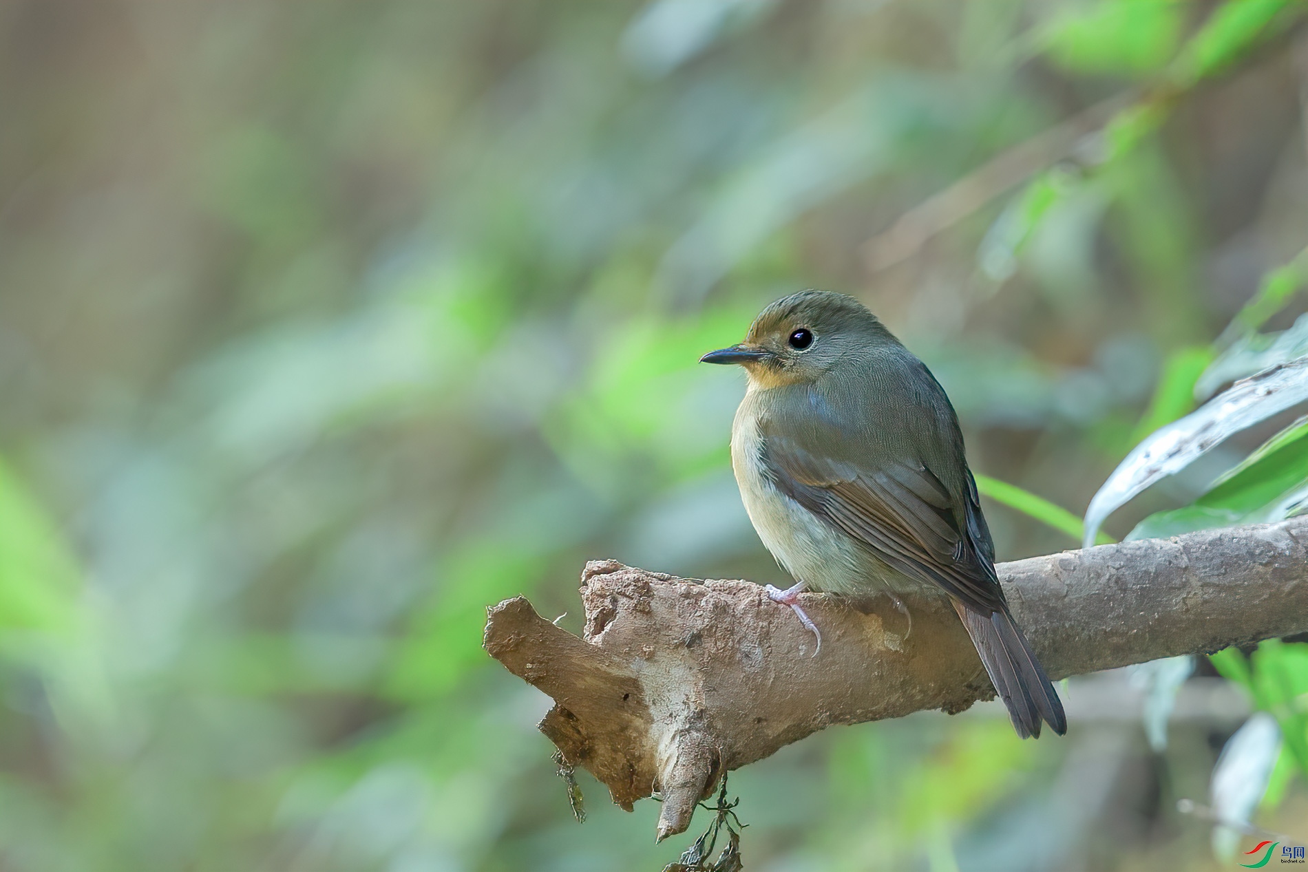 a_73652-1.jpg