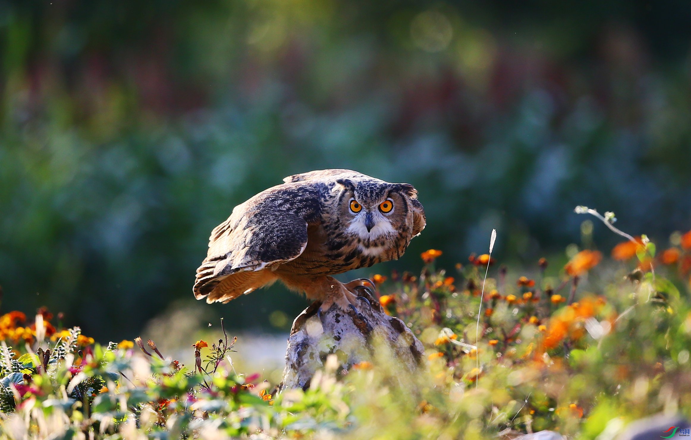 ���^  (135).JPG