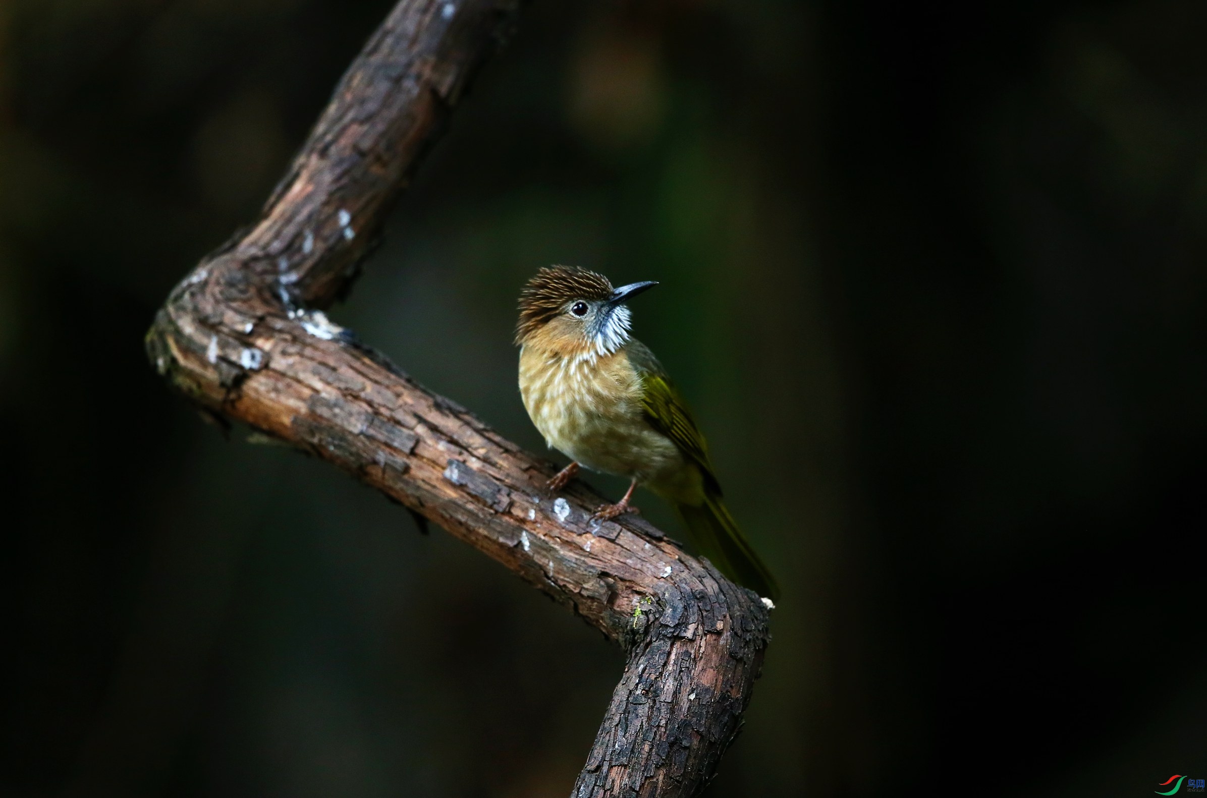 �̳�̽��� (18).JPG